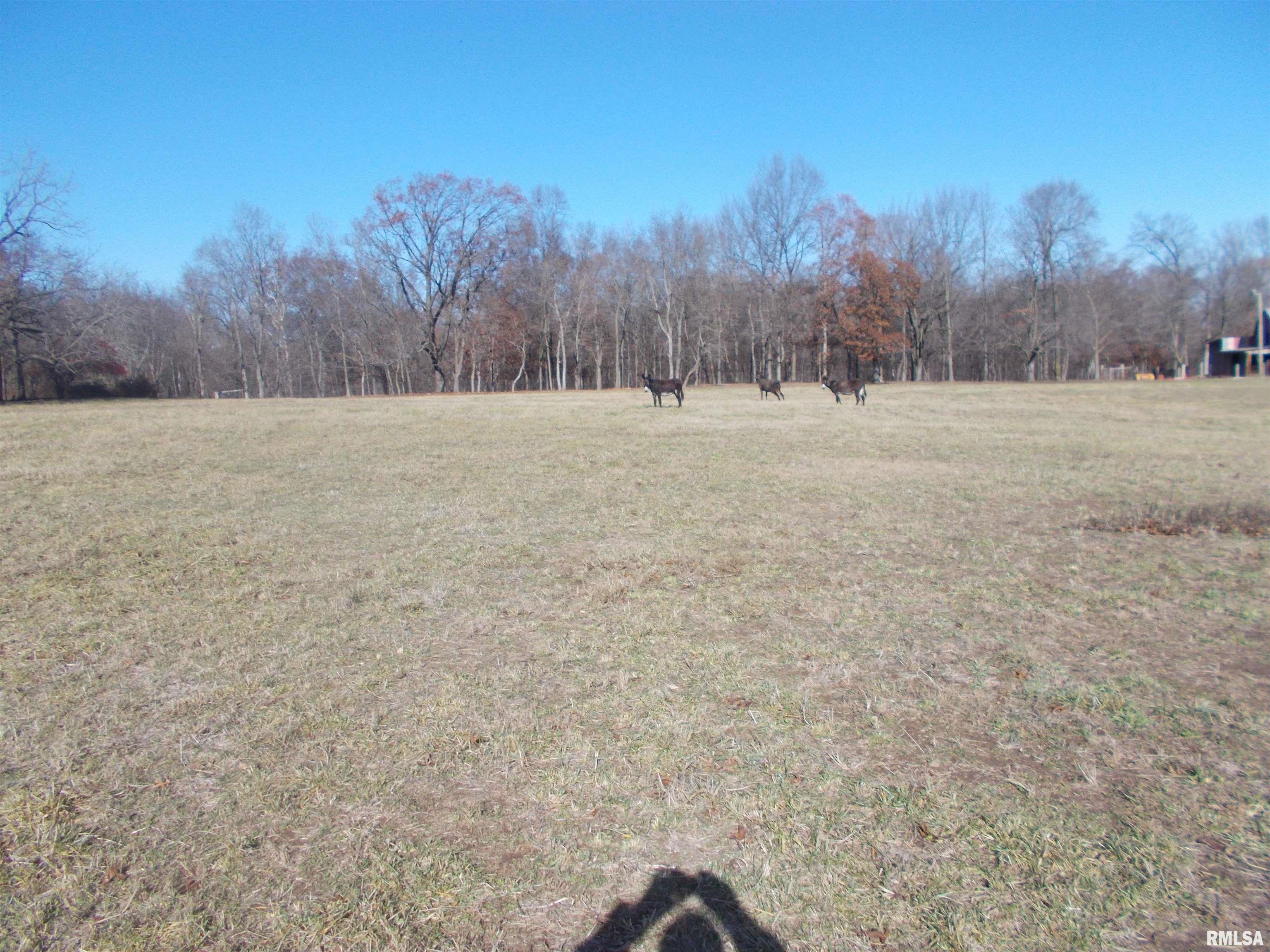 407 Casey Road Murphysboro, IL 62966 - Photo 55 of 73