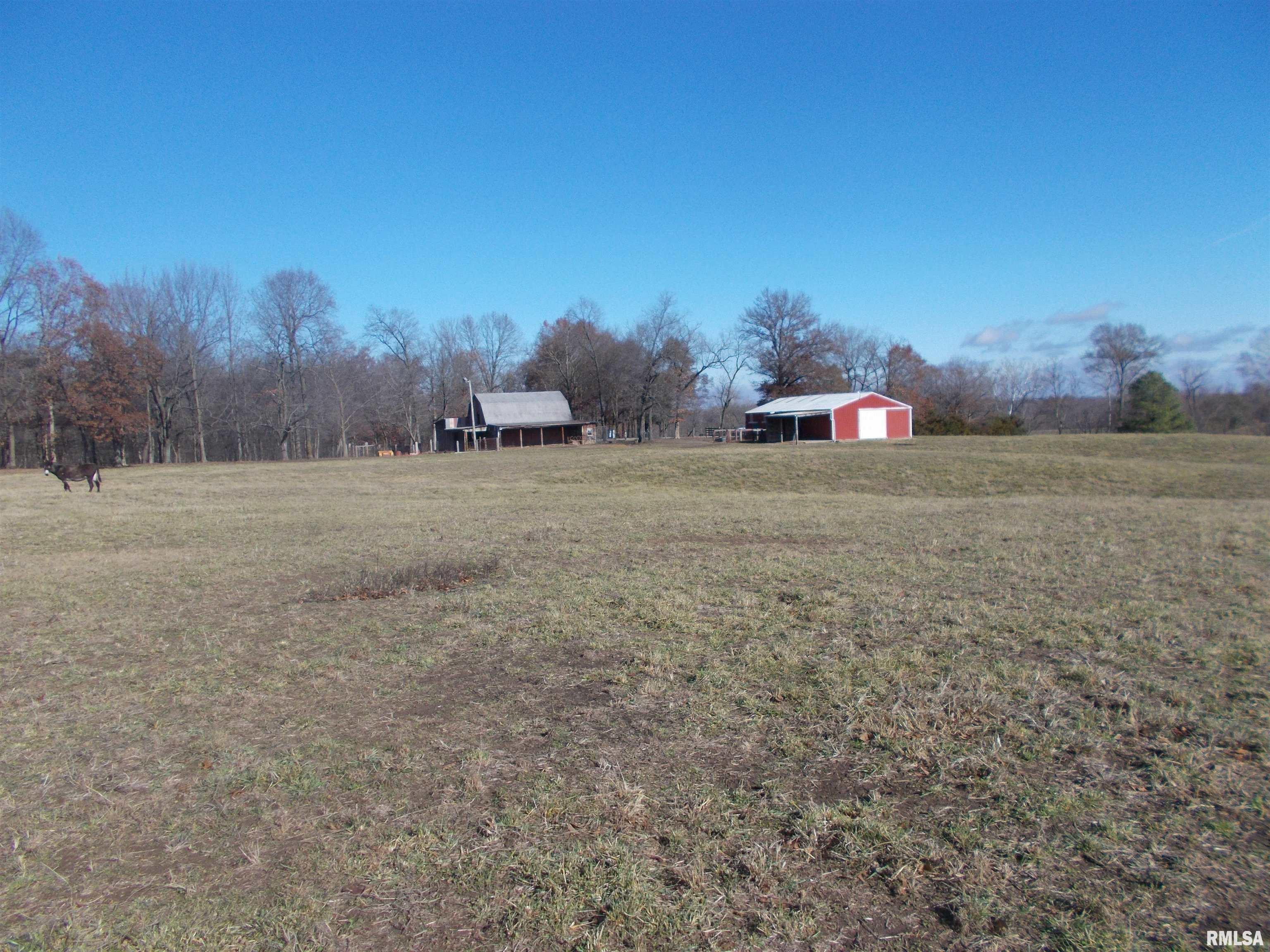 407 Casey Road Murphysboro, IL 62966 - Photo 56 of 73