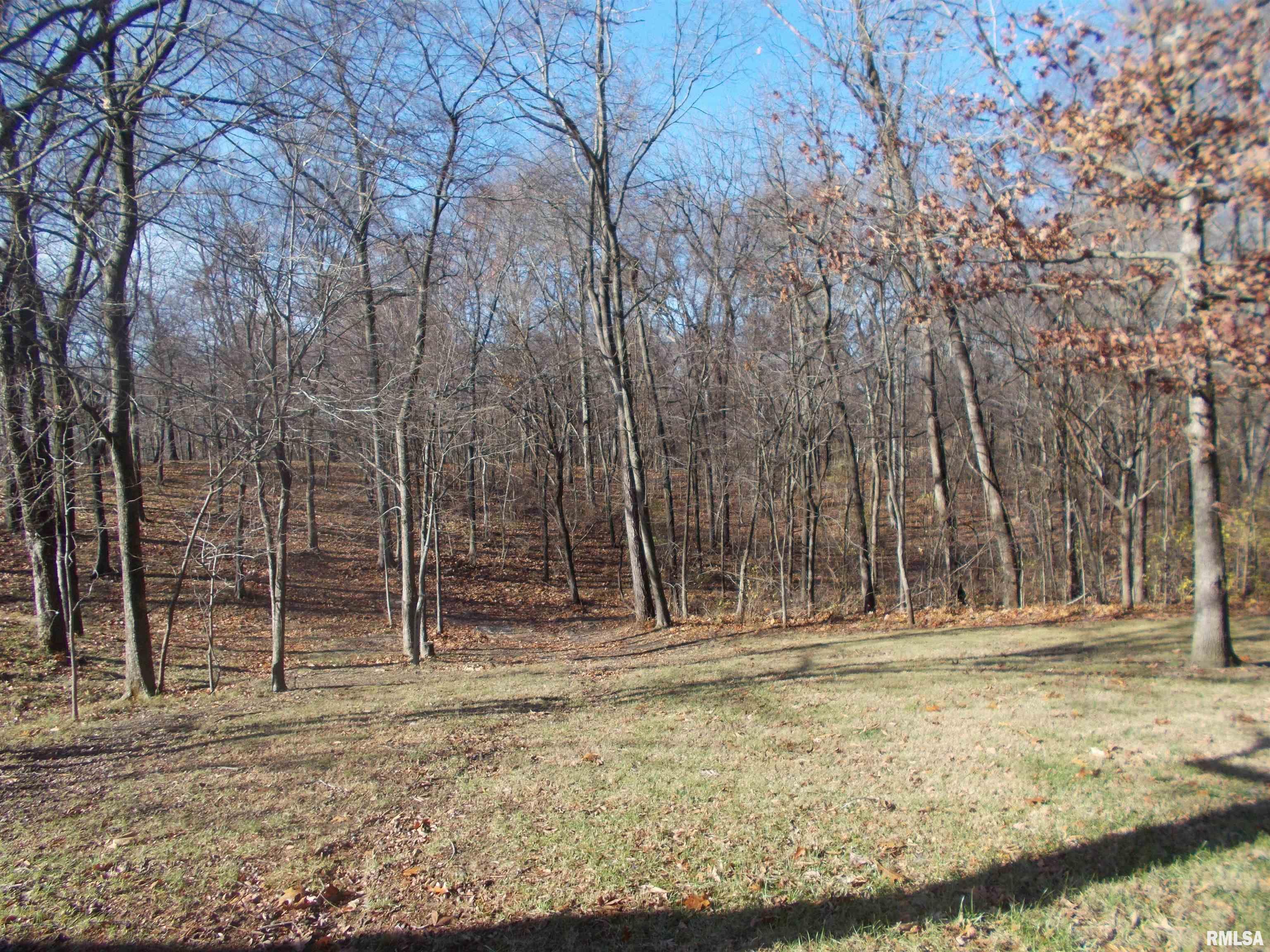 407 Casey Road Murphysboro, IL 62966 - Photo 58 of 73