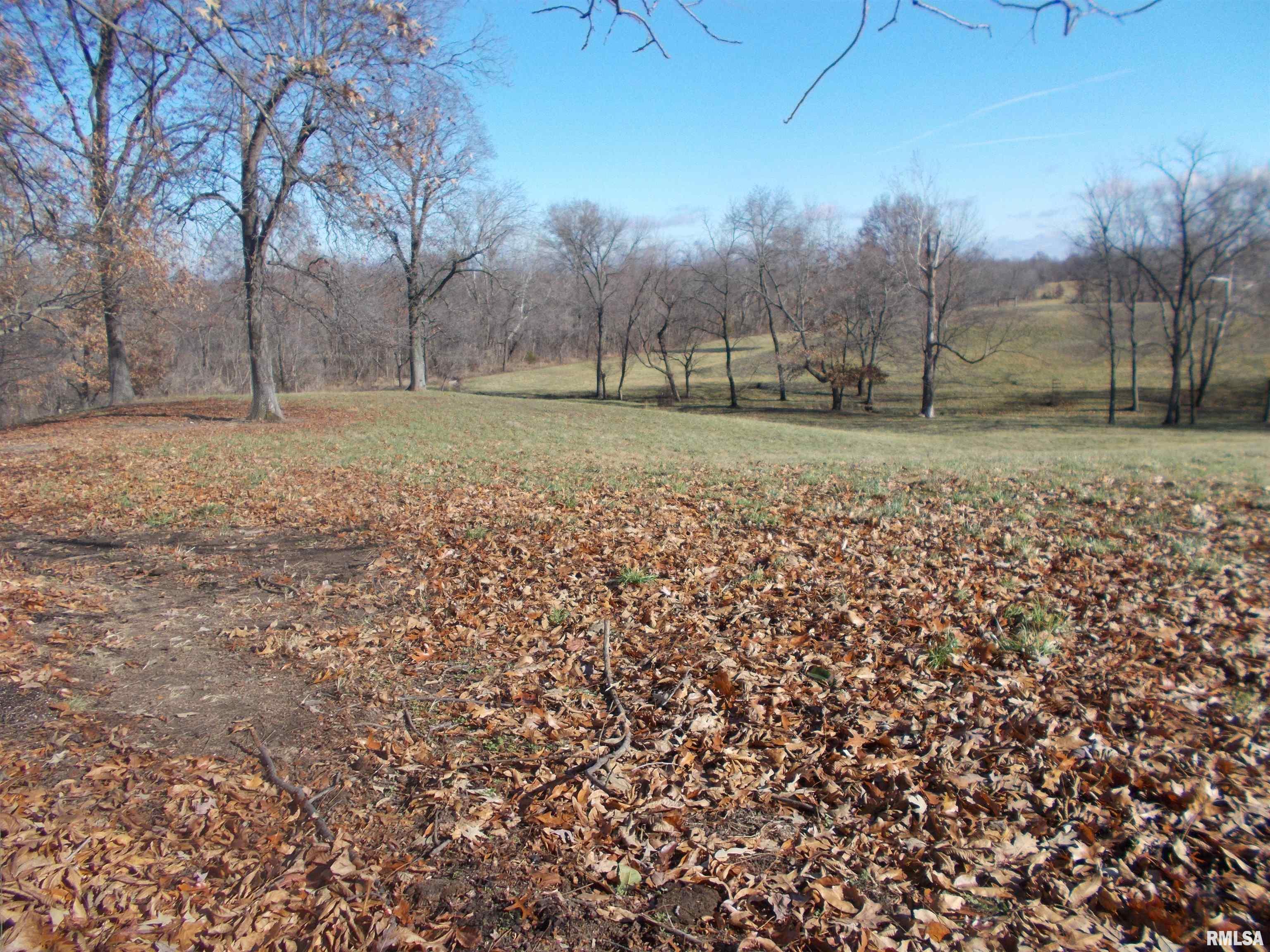 407 Casey Road Murphysboro, IL 62966 - Photo 59 of 73