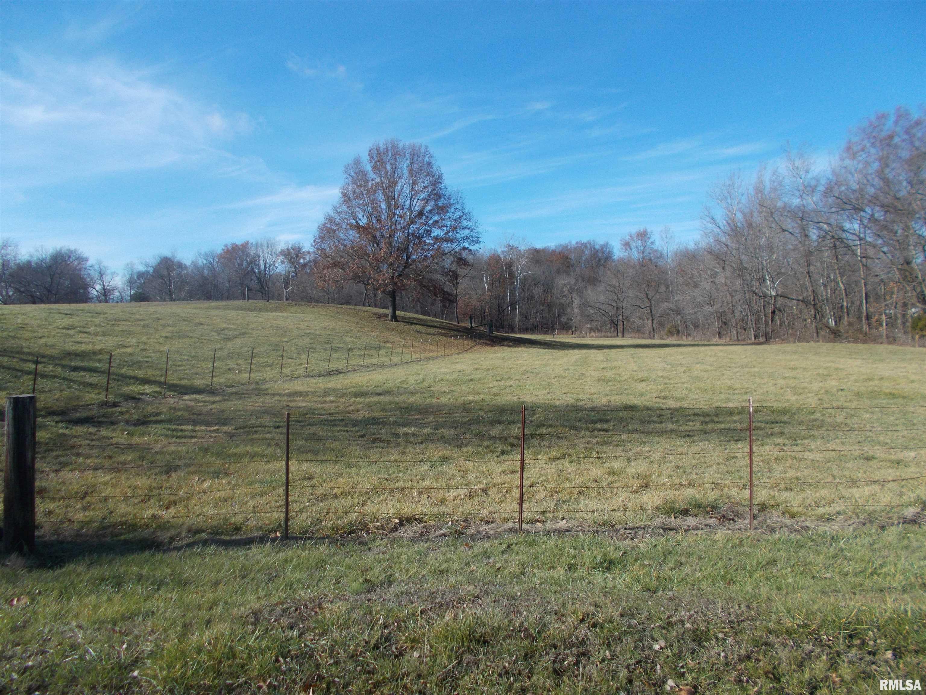 407 Casey Road Murphysboro, IL 62966 - Photo 61 of 73