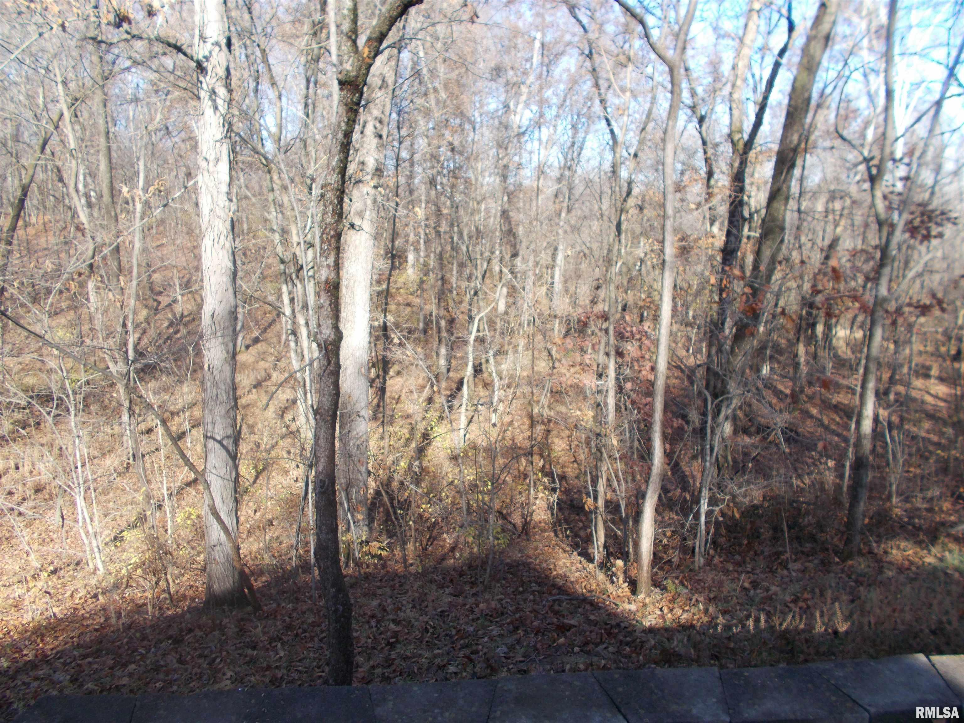 407 Casey Road Murphysboro, IL 62966 - Photo 67 of 73