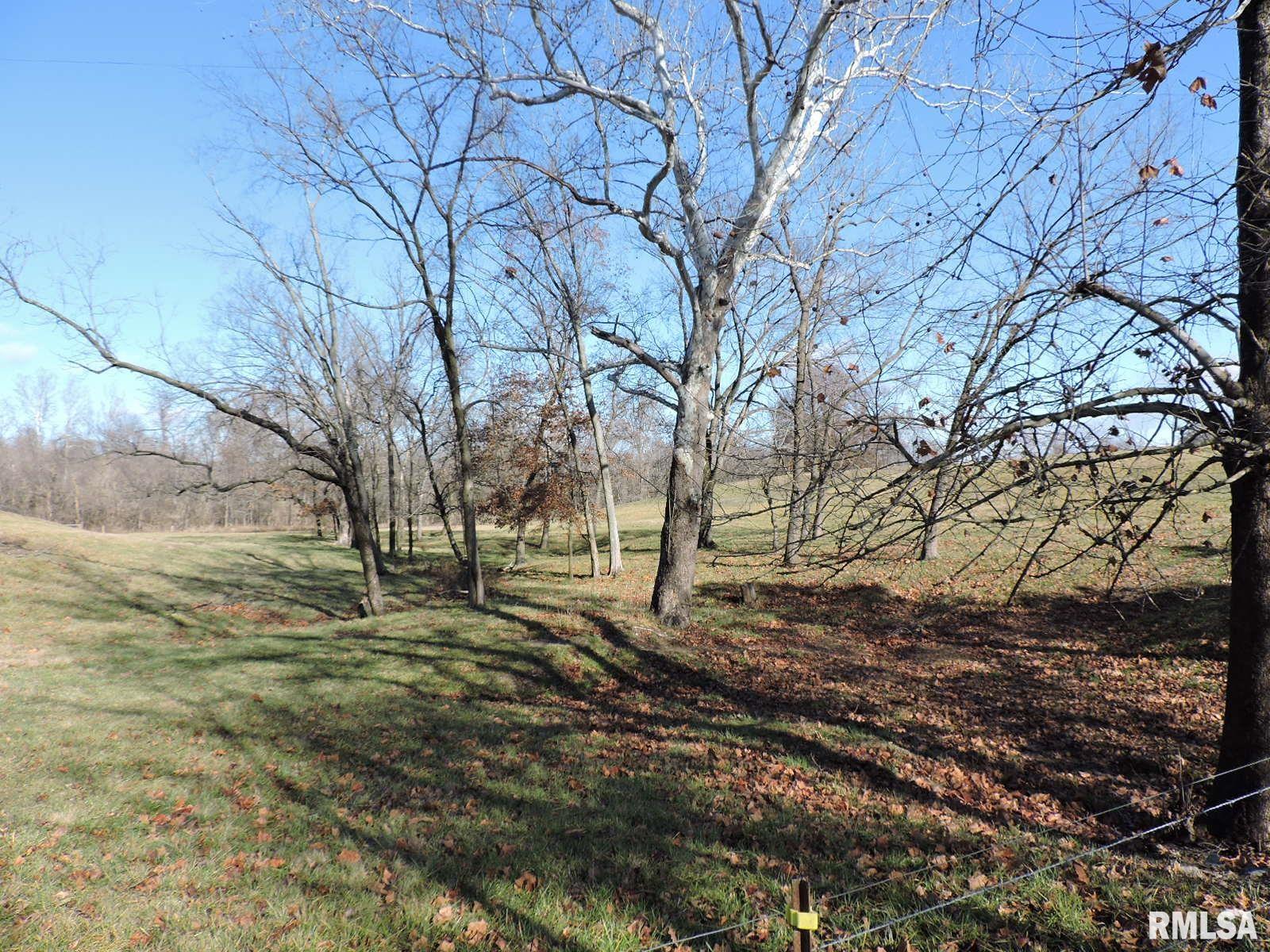 407 Casey Road Murphysboro, IL 62966 - Photo 68 of 73