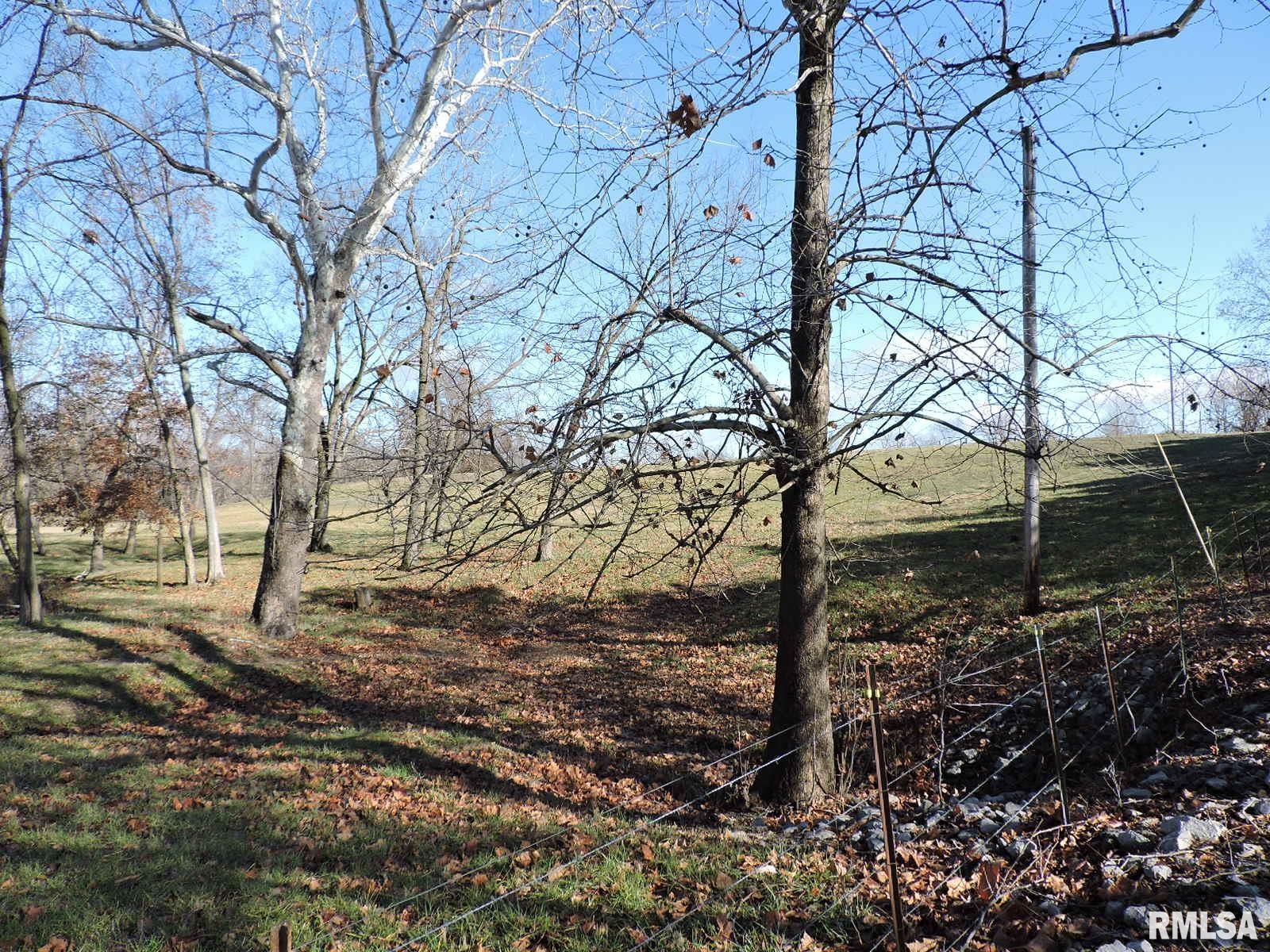 407 Casey Road Murphysboro, IL 62966 - Photo 69 of 73