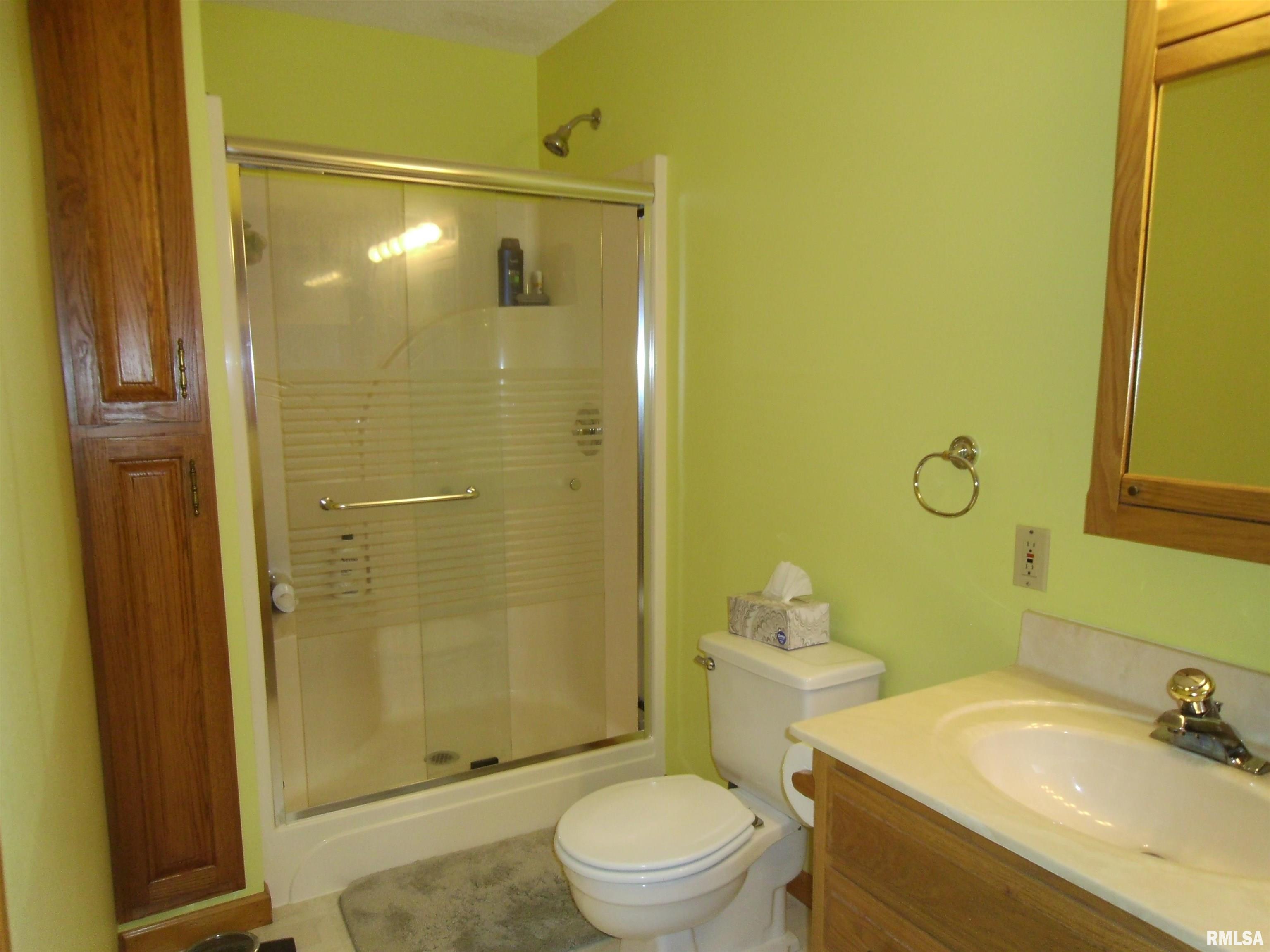 407 Casey Road Murphysboro, IL 62966 - Photo 7 of 73