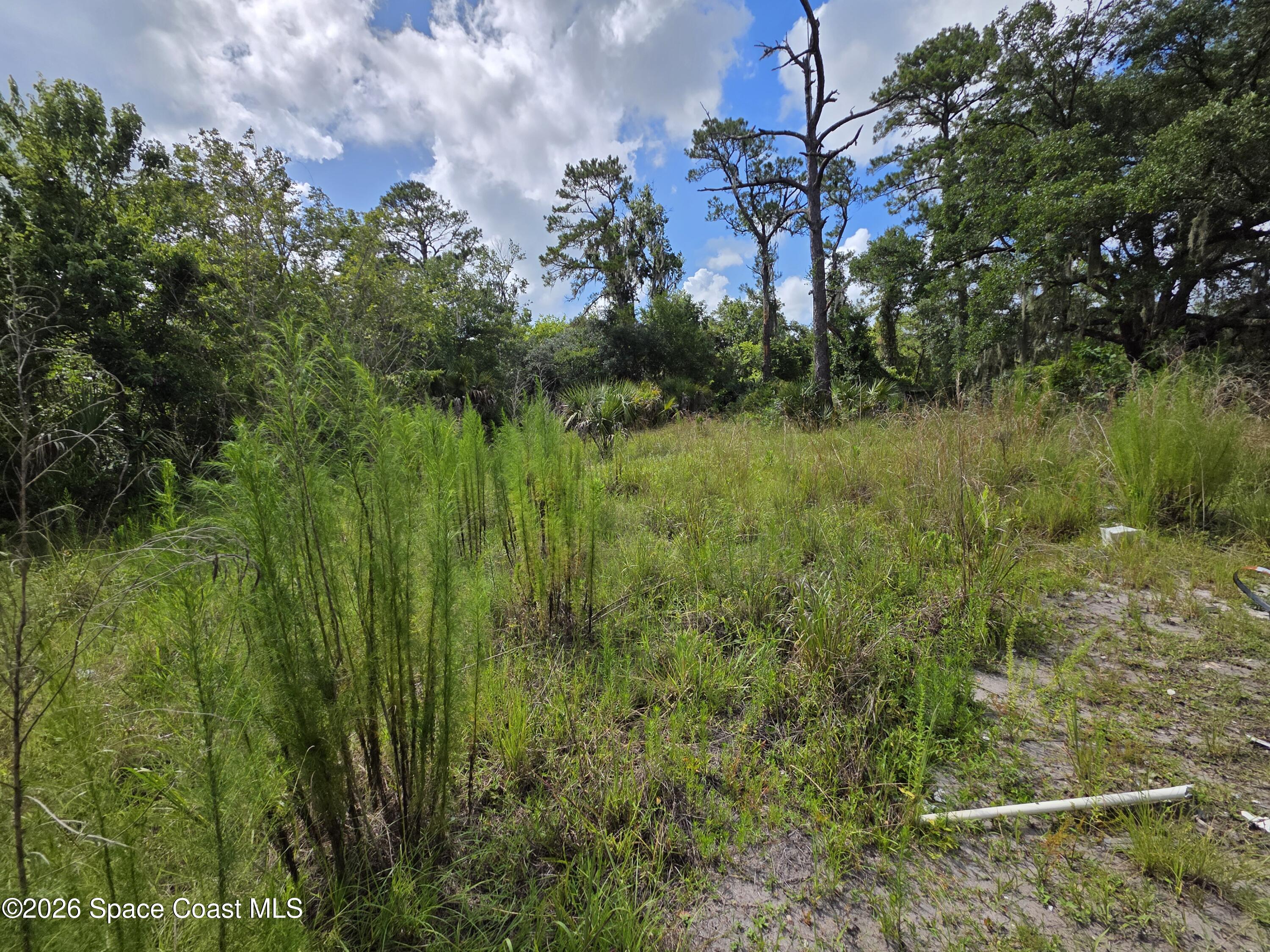 4863 Meadow Green Road Mims, FL 32754 - Photo 10 of 14 20260701_161535