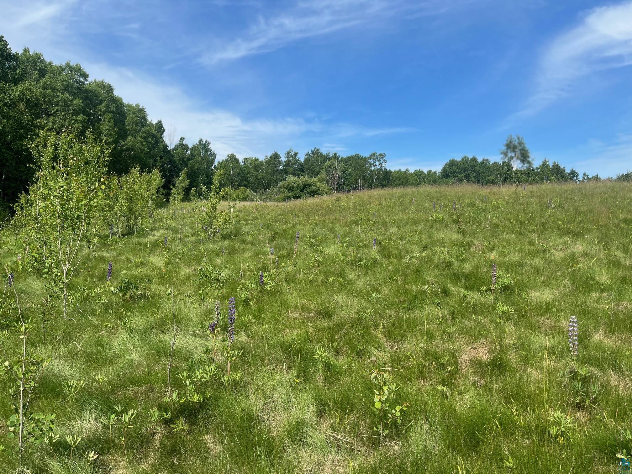 57-xx Howard Gnesen Road Duluth, MN 55803 - Photo 2 of 8 High meadow ideal building site