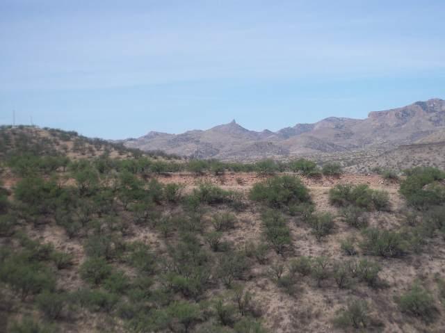 456 Camino Providencia Rio Rico, AZ 85648 - Photo 8 of 8