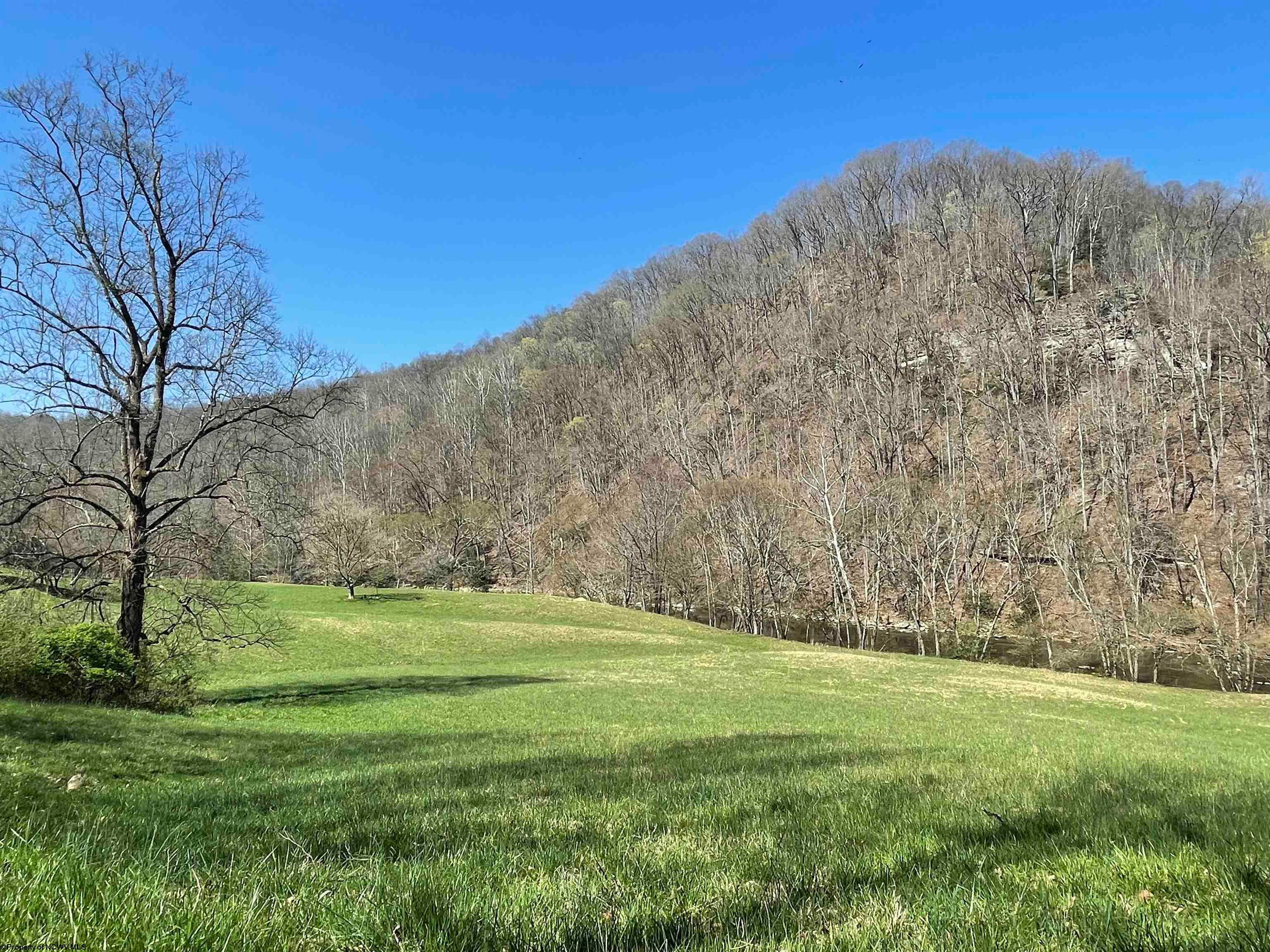 258 Lake Lane Road Napier, WV 26631 - Photo 6 of 29 Gallery Image 6