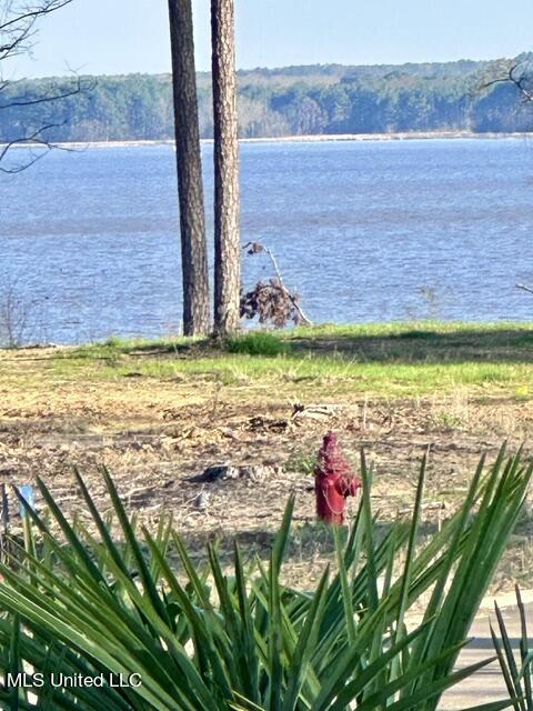 Lot 23 Neptune Shore Canton, MS 39046 - Photo 2 of 20 IMG_4332