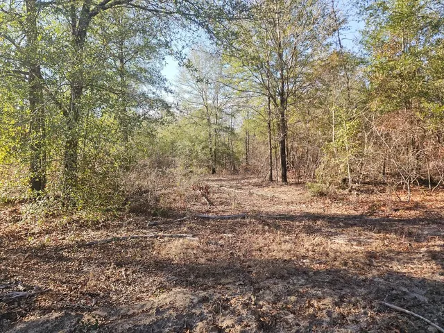 $439,900 | 831 Ga Highway, Rupert, GA 31081