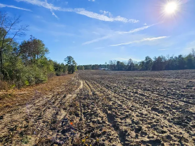 $439,900 | 831 Ga Highway, Rupert, GA 31081