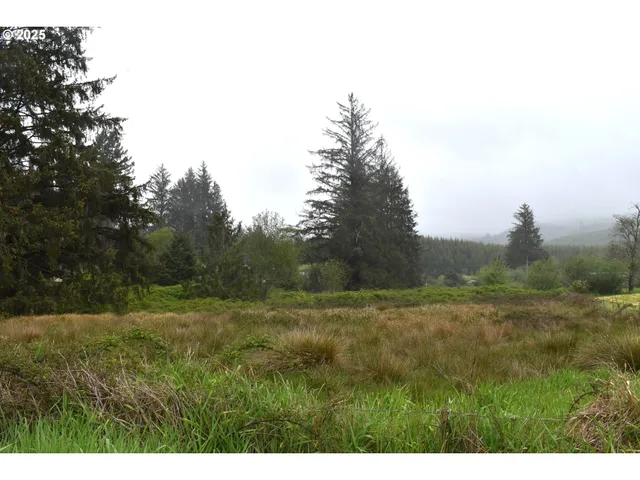 a view of a big yard with lots of green space