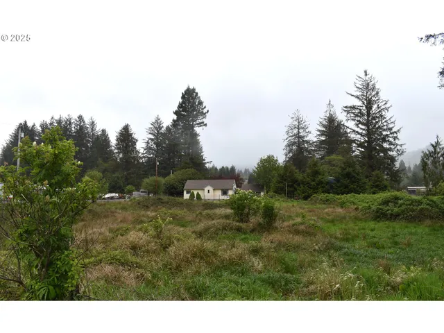 a open area with trees in front of it