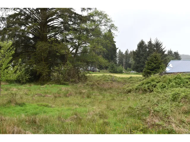 a big yard with lots of green space