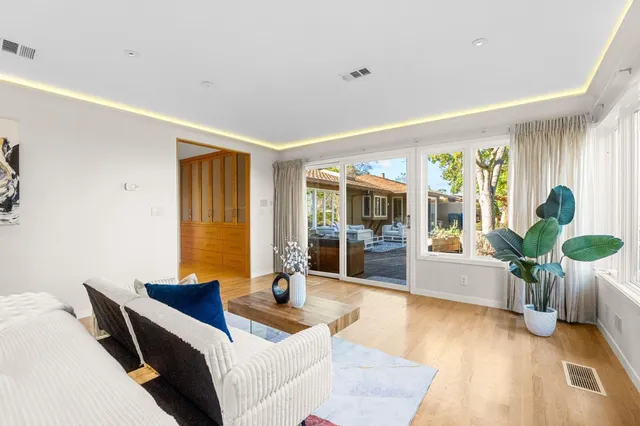 a view of a yard with plants and trees