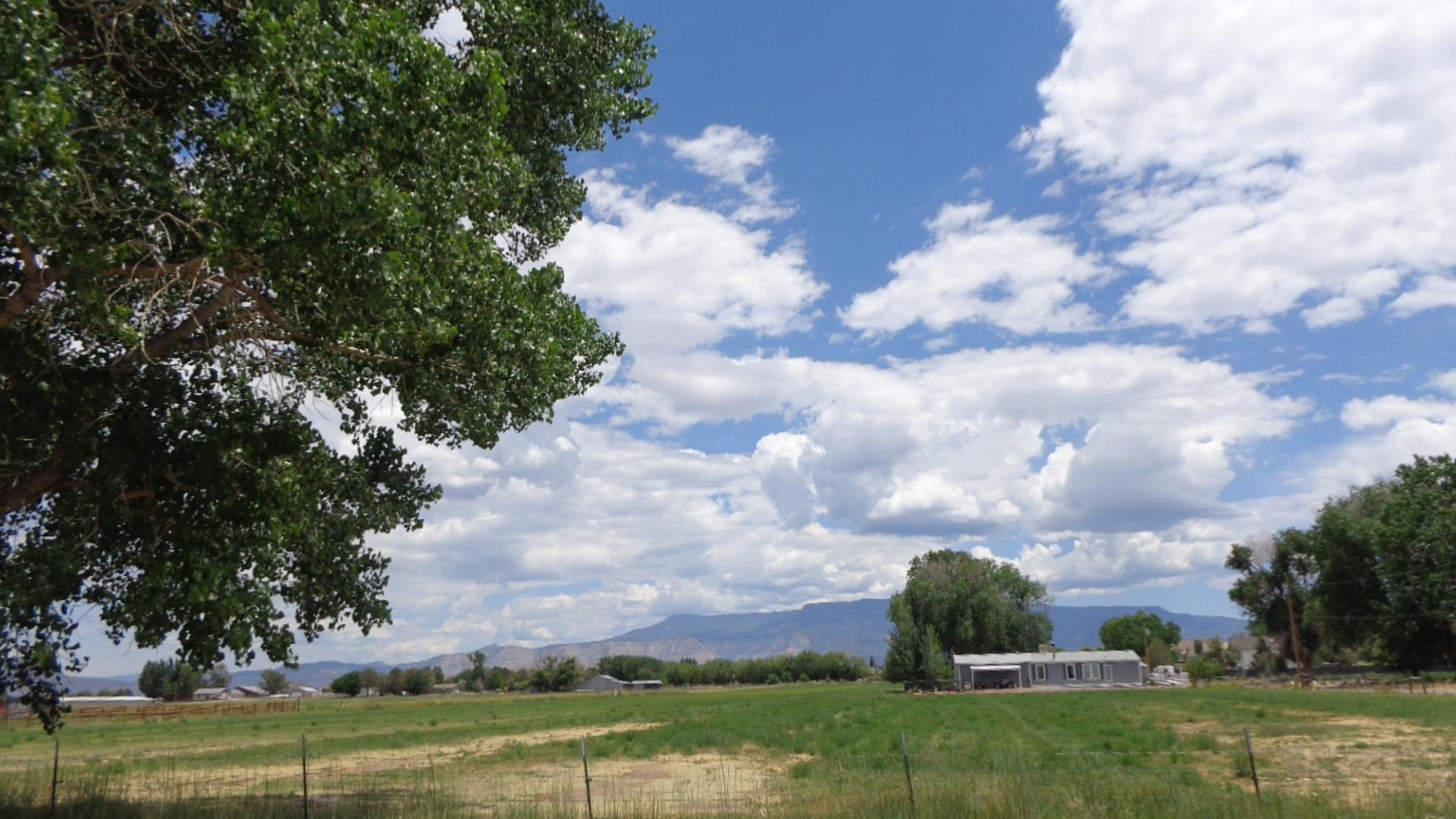 231 31 3/10 Road Grand Junction, CO 81503 - Photo 1 of 3