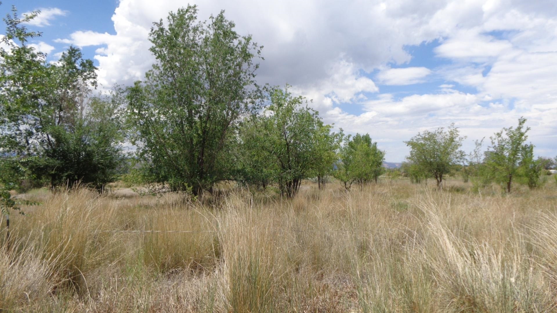 231 31 3/10 Road Grand Junction, CO 81503 - Photo 2 of 3