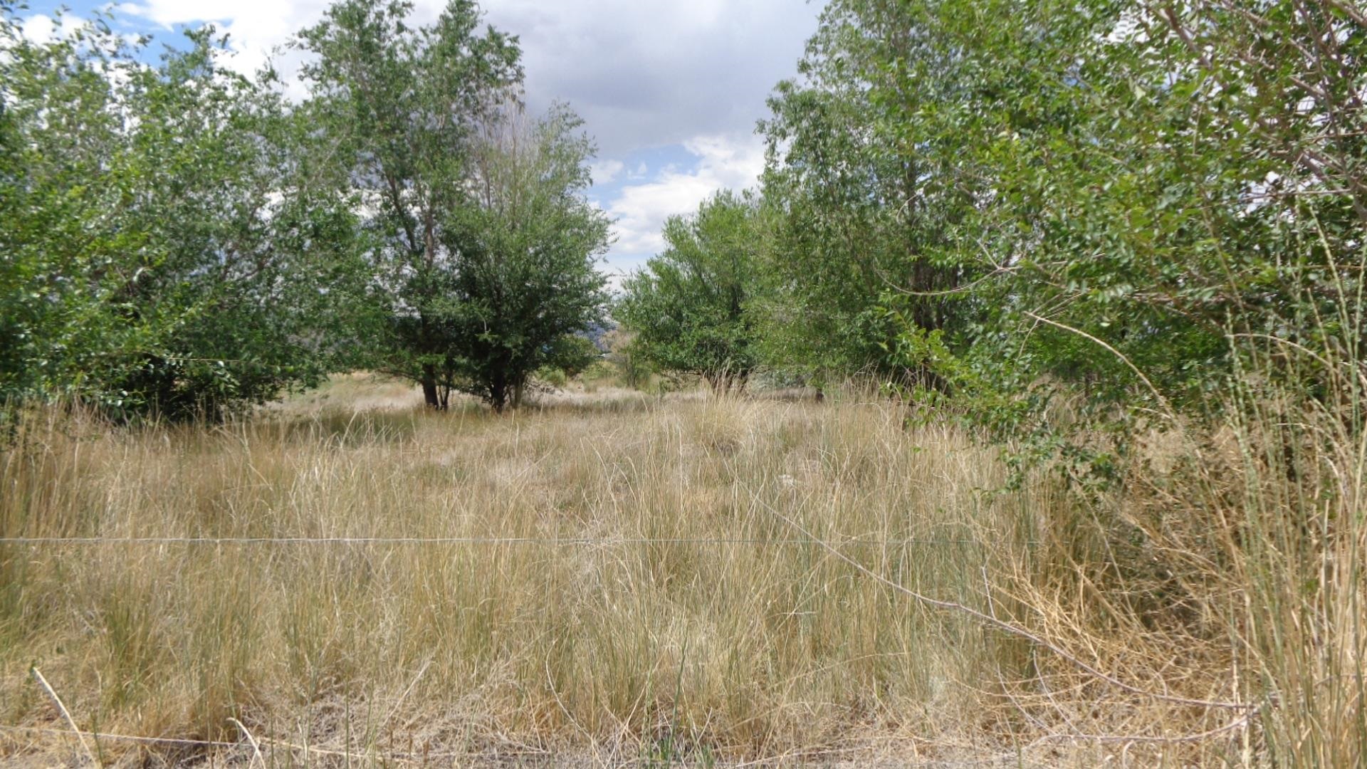 231 31 3/10 Road Grand Junction, CO 81503 - Photo 3 of 3