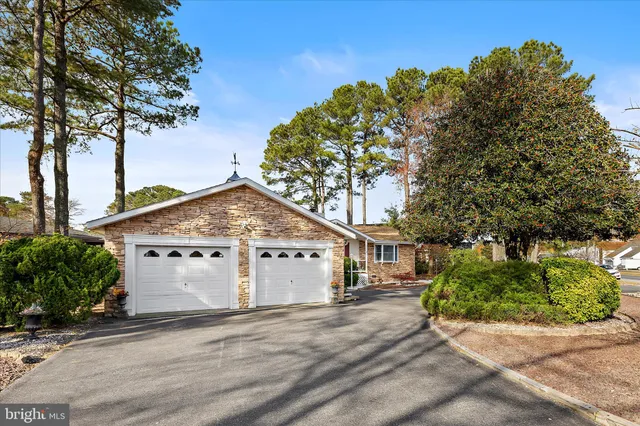 a view of a white house with a large tree and plants