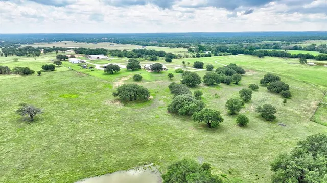 a view of a green field with lots of plants in it