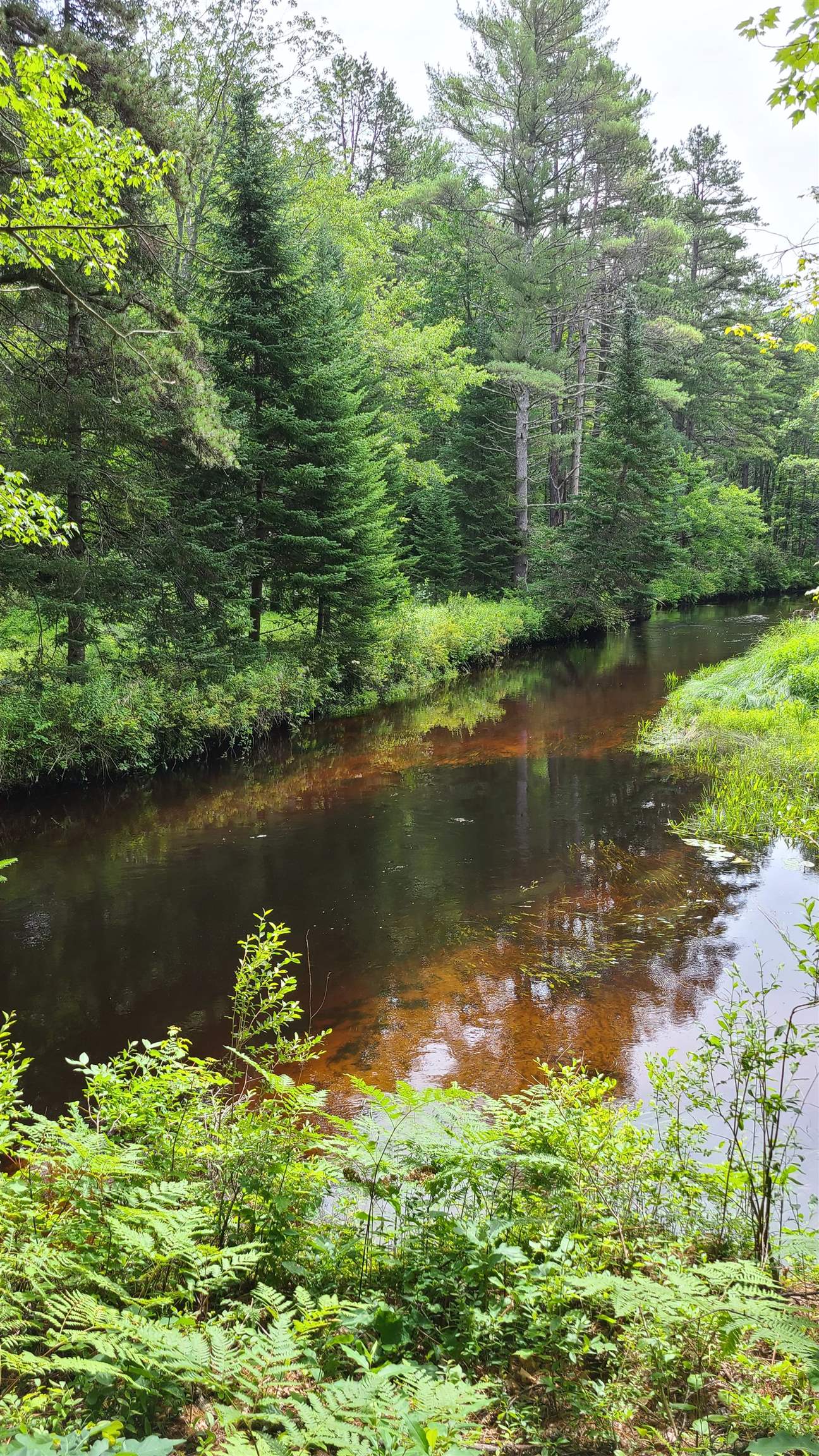 0 Trout Run Road Effingham, NH 03882 - Photo 1 of 4 Gallery Image 1