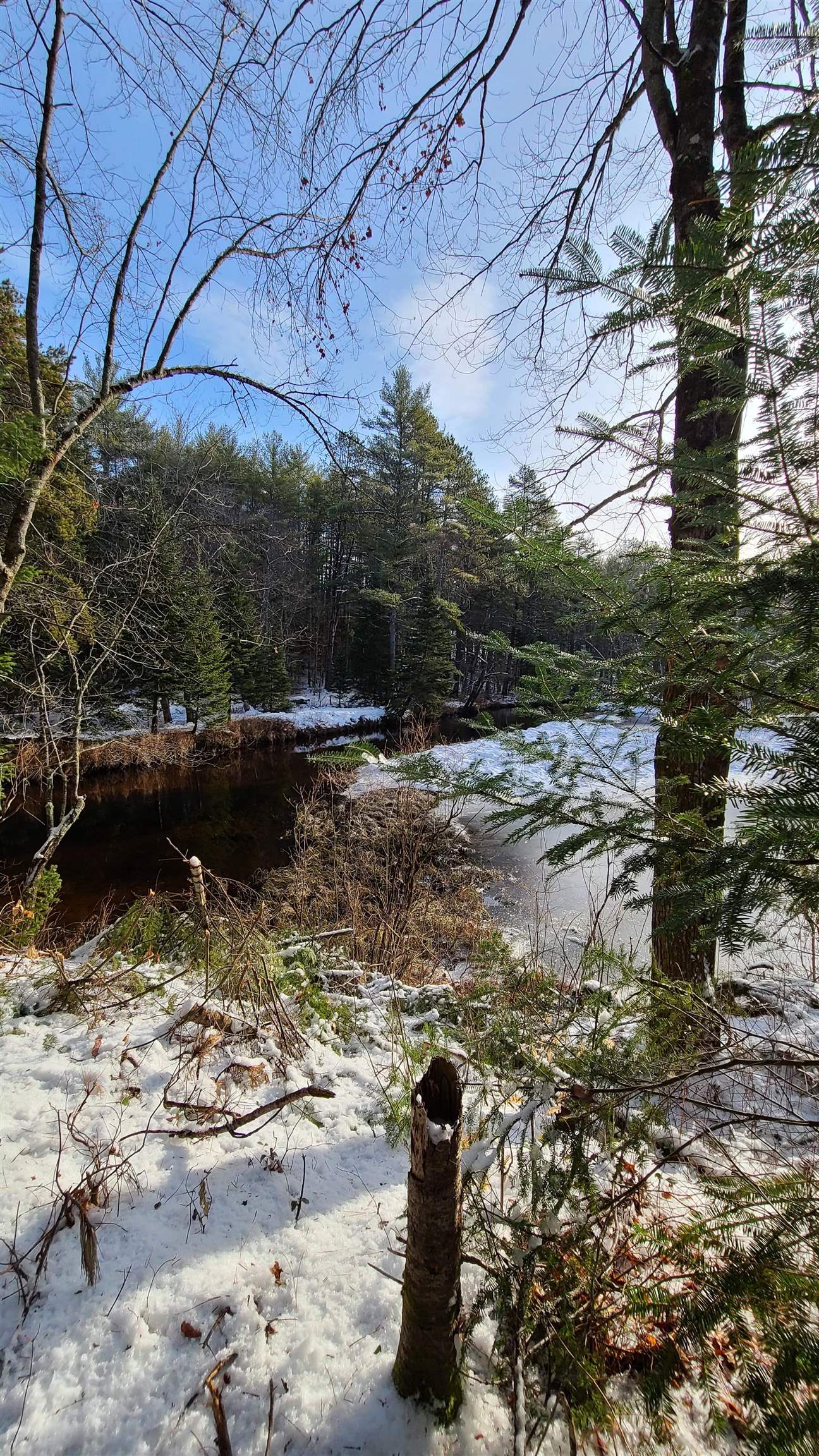0 Trout Run Road Effingham, NH 03882 - Photo 2 of 4 Gallery Image 2