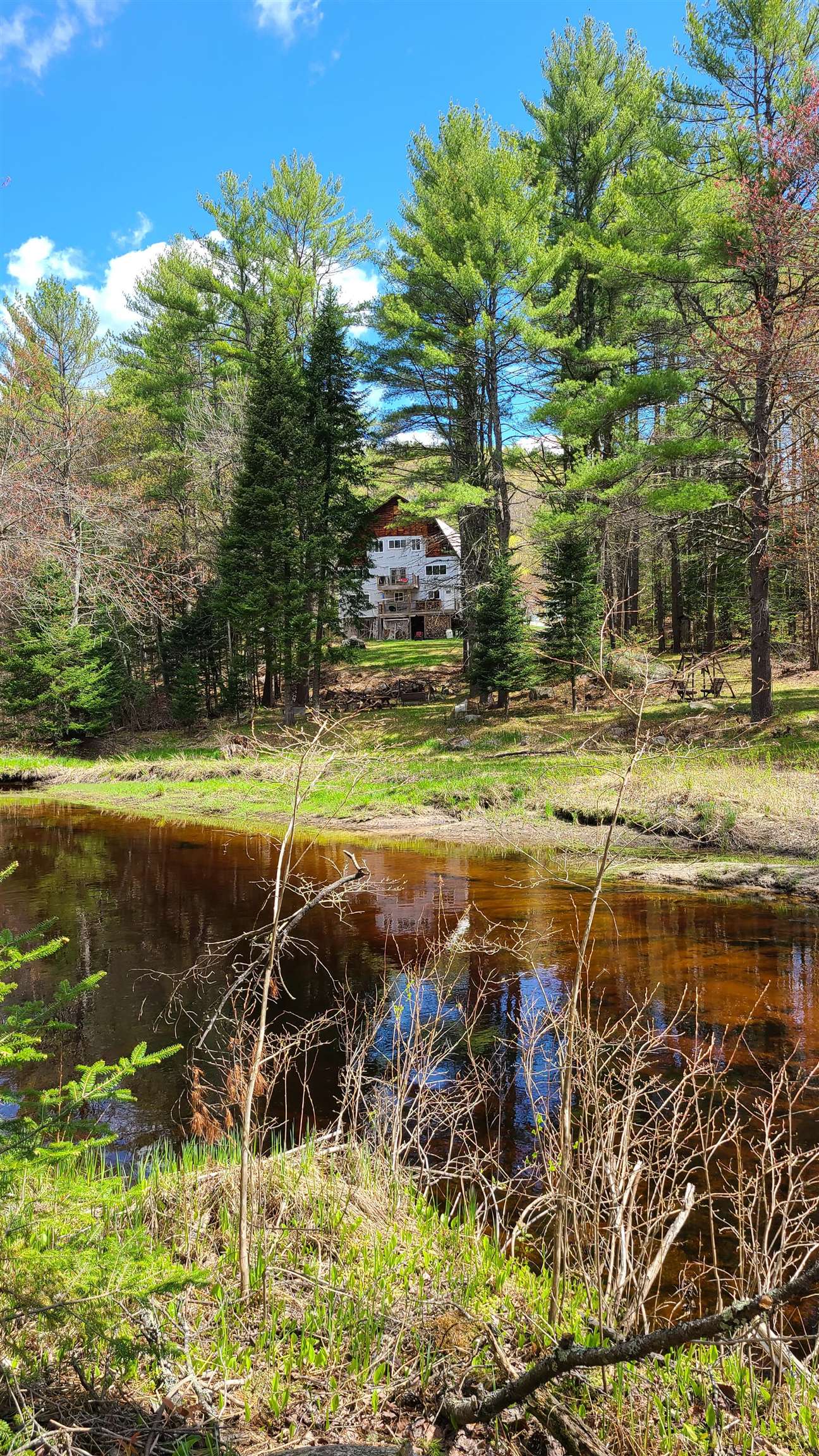 0 Trout Run Road Effingham, NH 03882 - Photo 3 of 4 Gallery Image 3