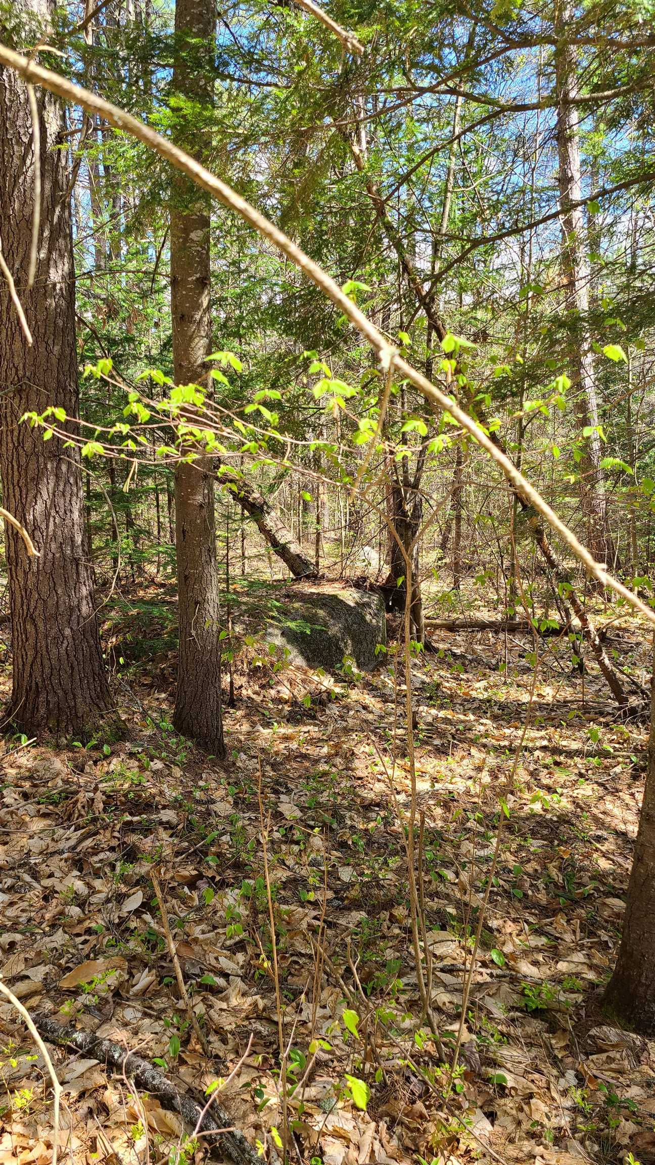 0 Trout Run Road Effingham, NH 03882 - Photo 4 of 4 Gallery Image 4