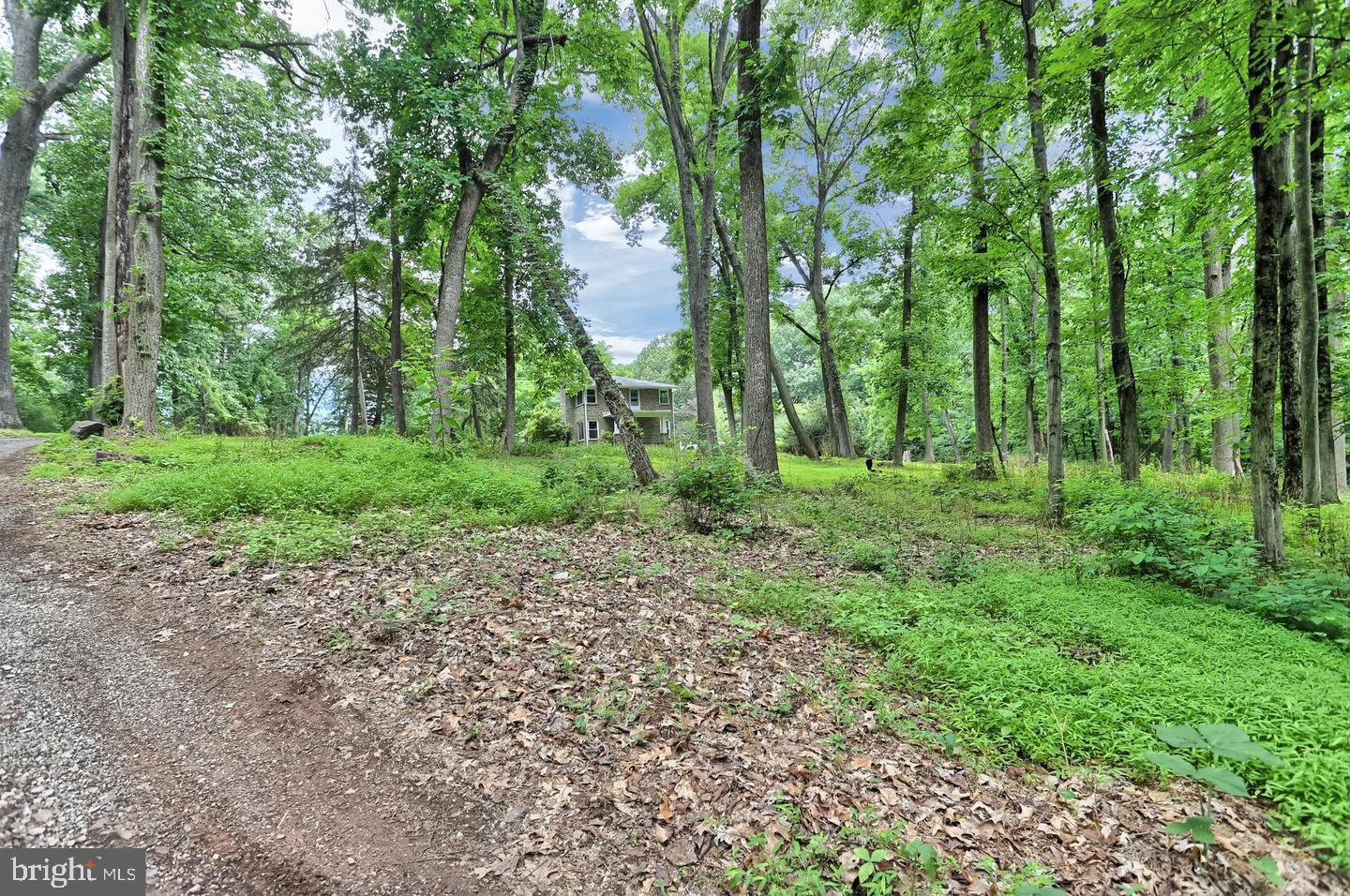 175 Pickett Road Dover, PA 17315 - Photo 28 of 36 Secluded home nestled in lush greenery.