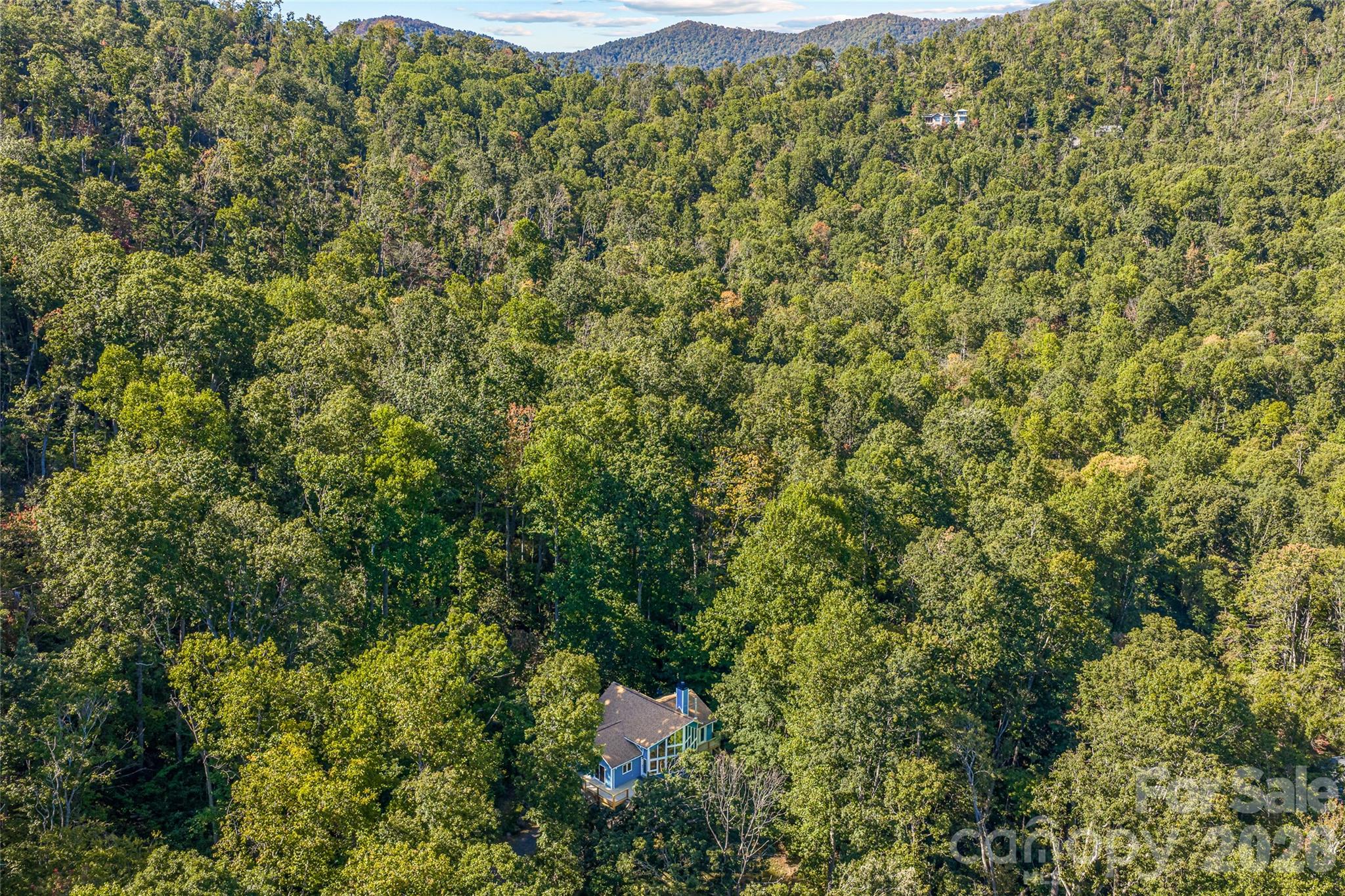 918 Long Branch Road Swannanoa, NC 28778 - Photo 42 of 46 Gallery Image 42