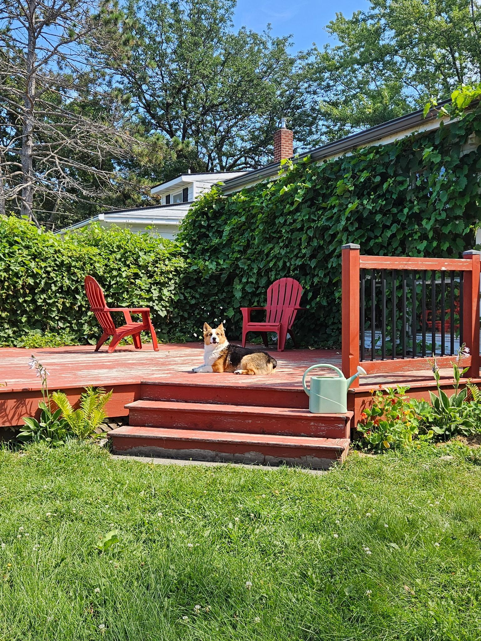 1119 8th Avenue Northwest Rochester, MN 55901 - Photo 34 of 34