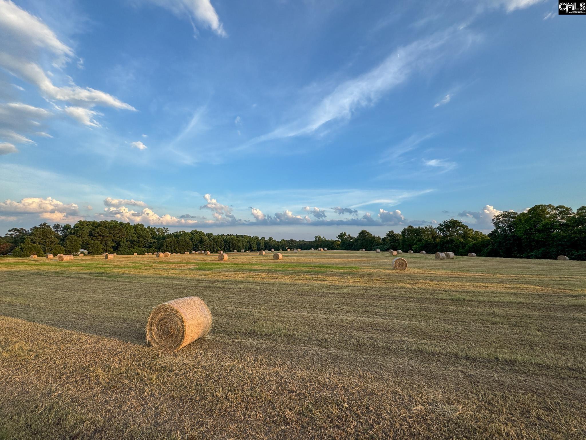 0 Shealy Road, Unit LOT 7 Batesburg, SC 29006 - Photo 11 of 15