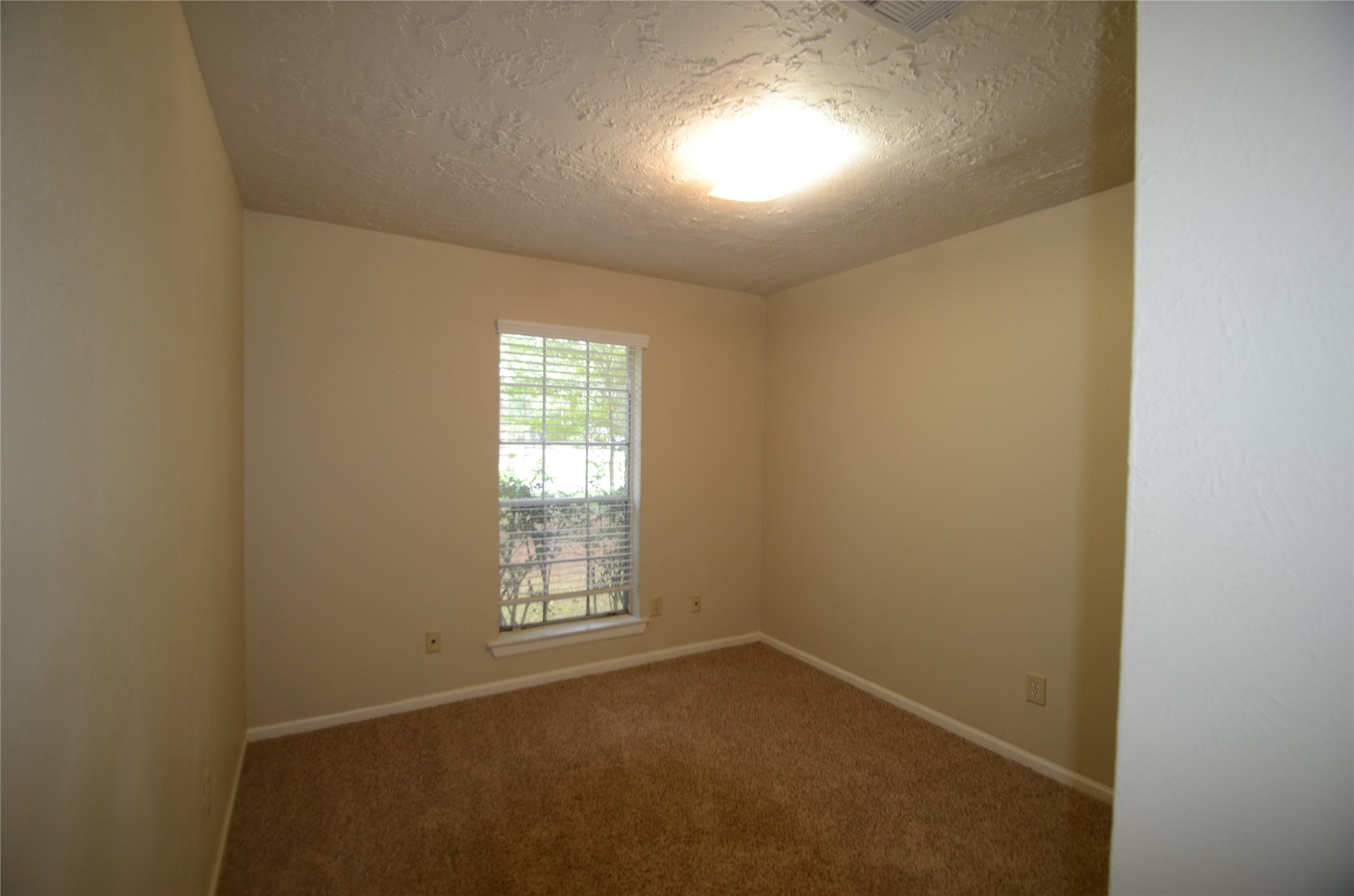 56 Fallshire Drive Spring, TX 77381 - Photo 15 of 16