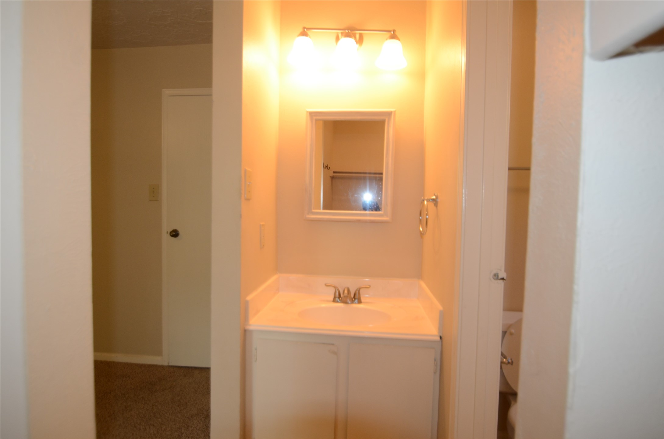 56 Fallshire Drive Spring, TX 77381 - Photo 9 of 16