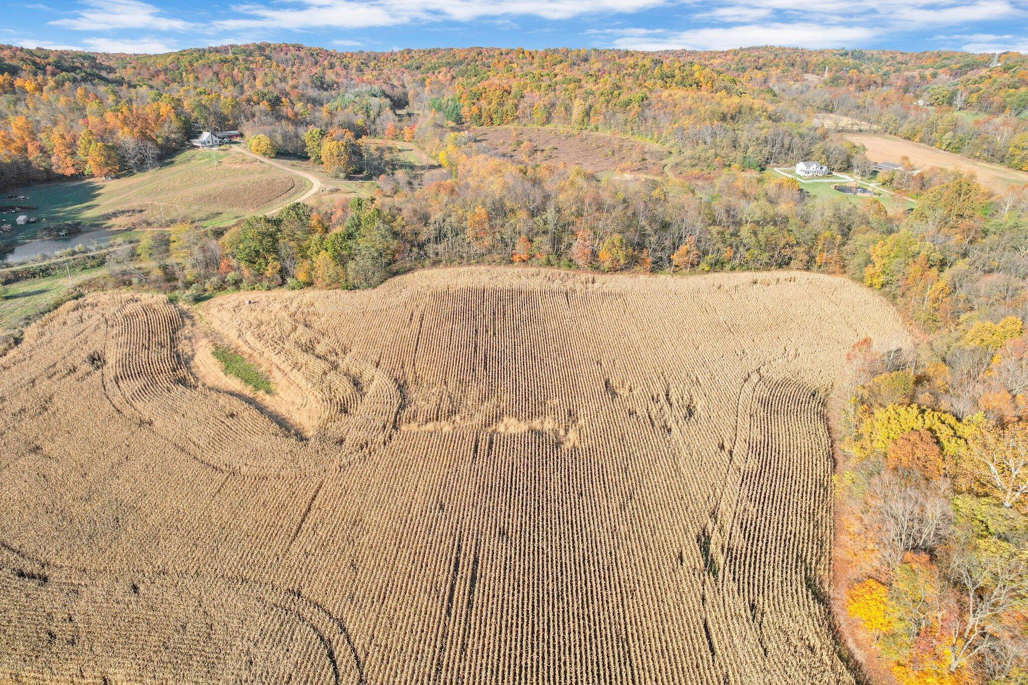 6923 Ginger Hill Road Utica, OH 43080 - Photo 104 of 137 31-web-or-mls-DJI_0166