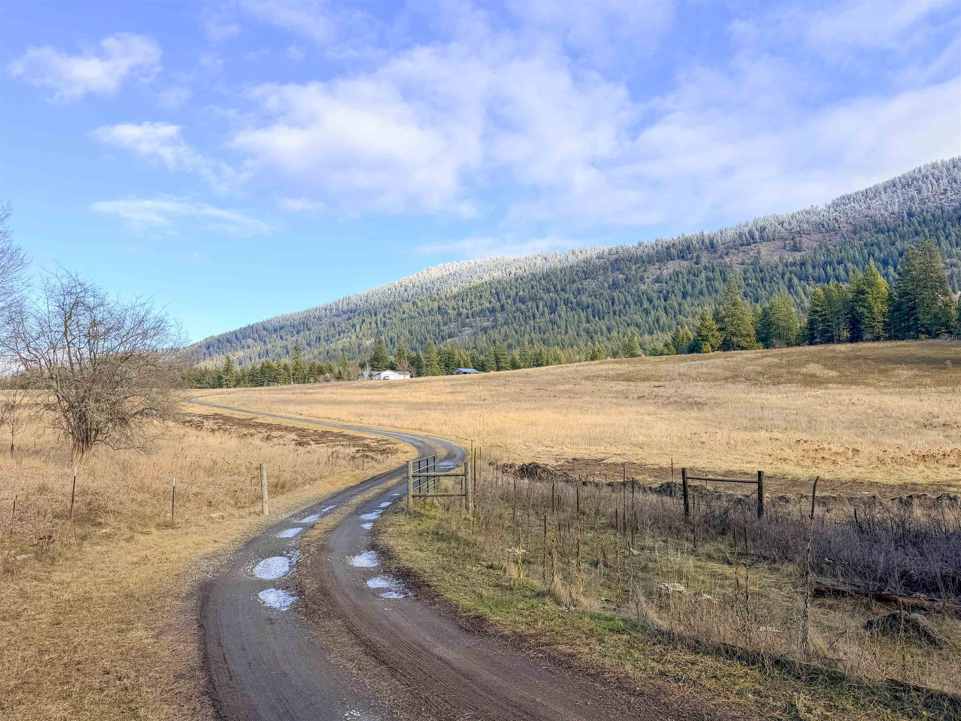 1210 Spring Way Evans, WA 99126 - Photo 17 of 47