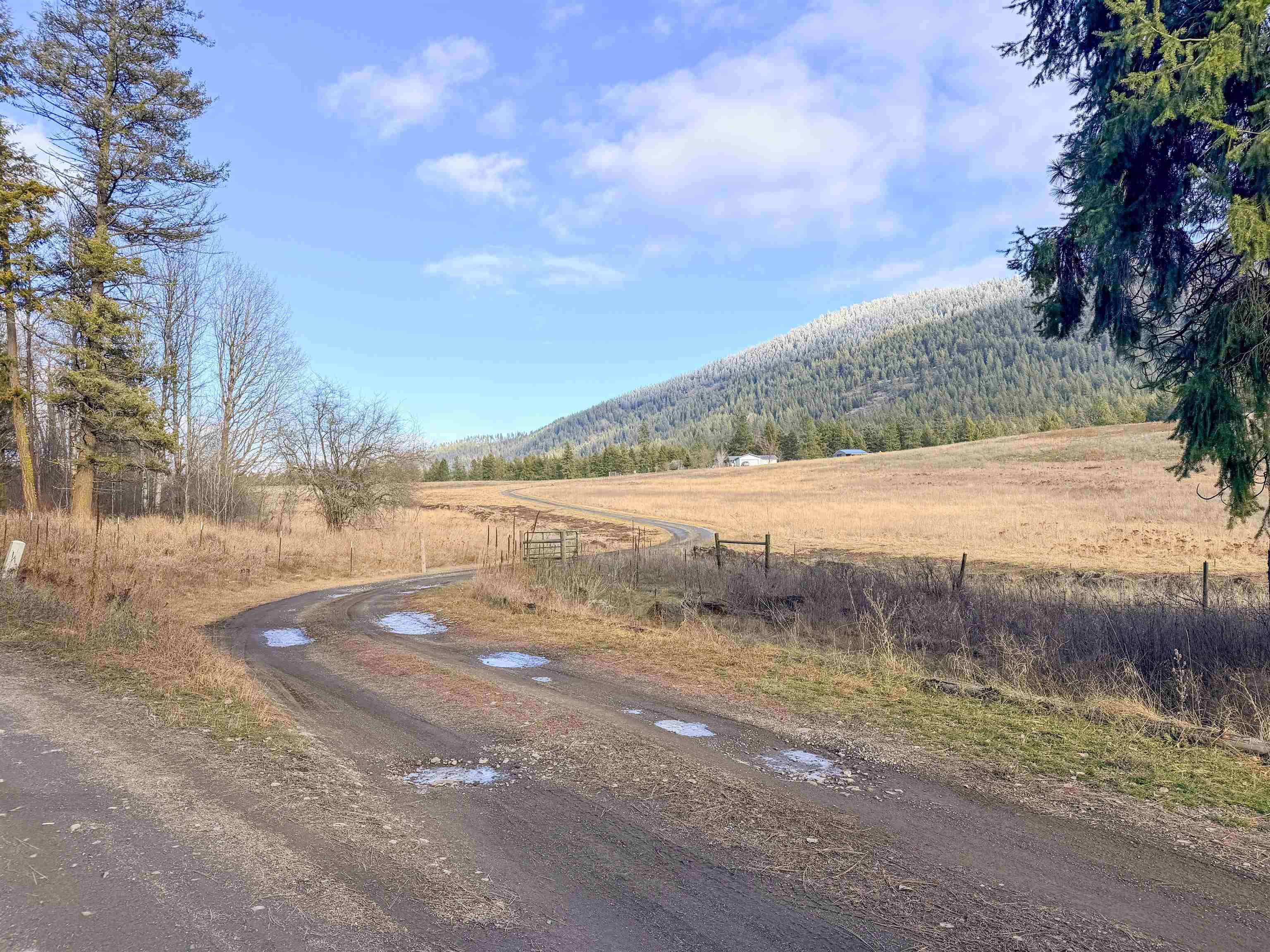 1210 Spring Way Evans, WA 99126 - Photo 19 of 47