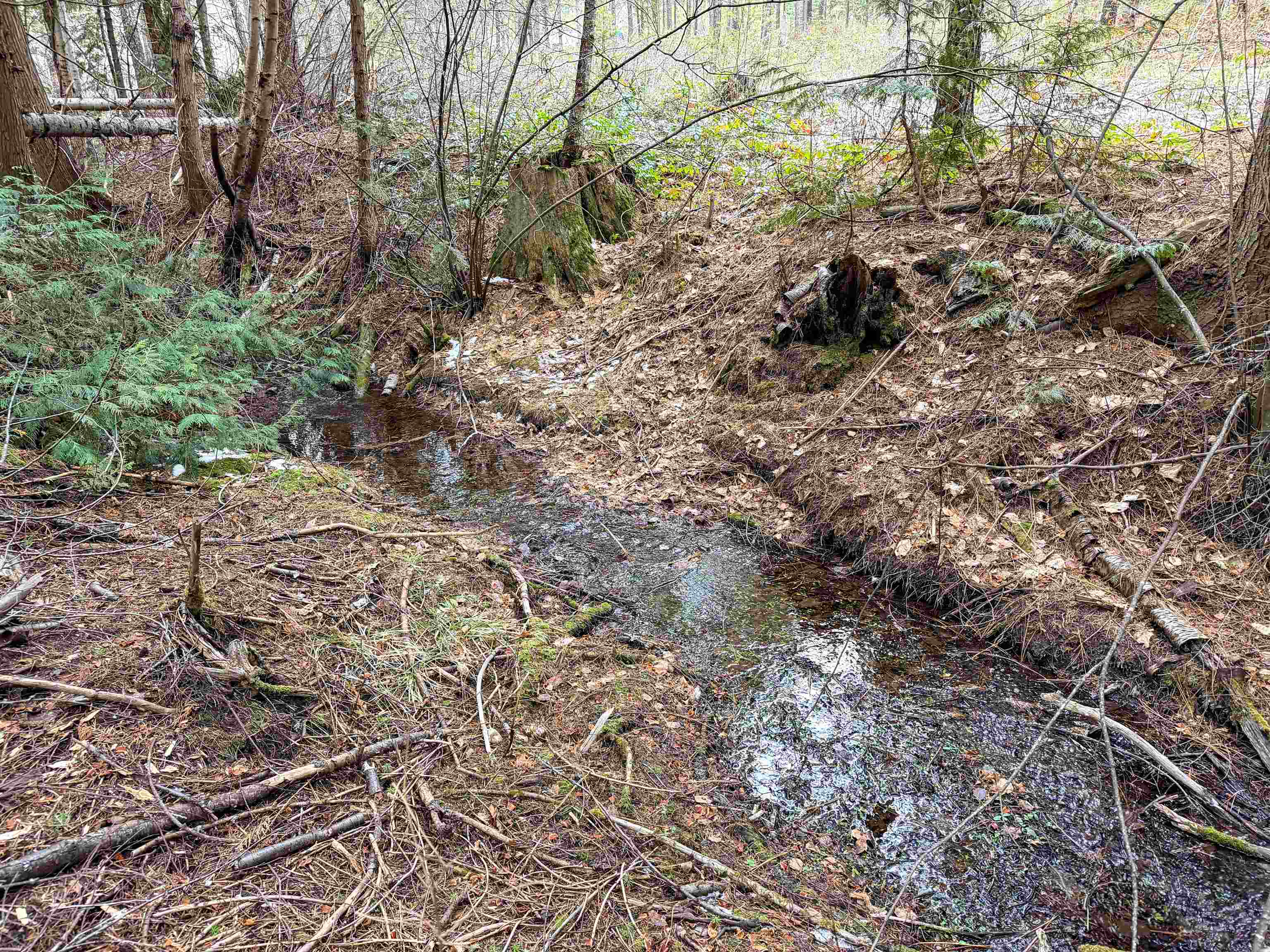 1210 Spring Way Evans, WA 99126 - Photo 42 of 47