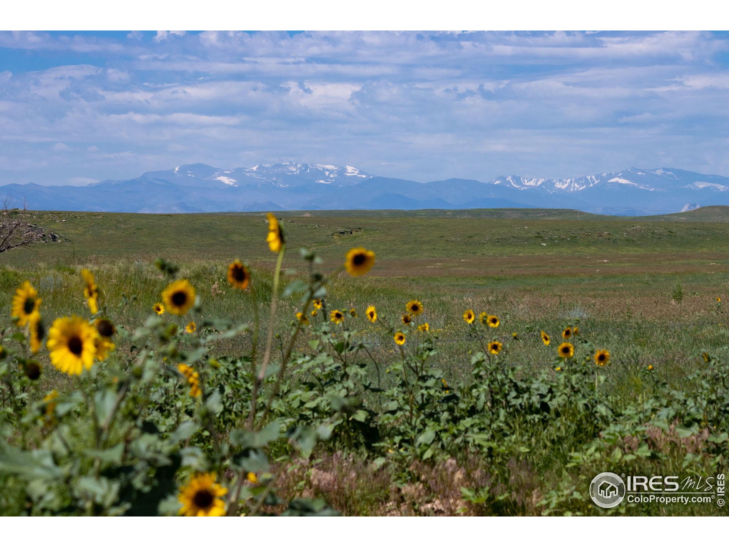 346 Tbd County Road Carr, CO 80612 - Photo 6 of 43 a view of an outdoor space and mountain view