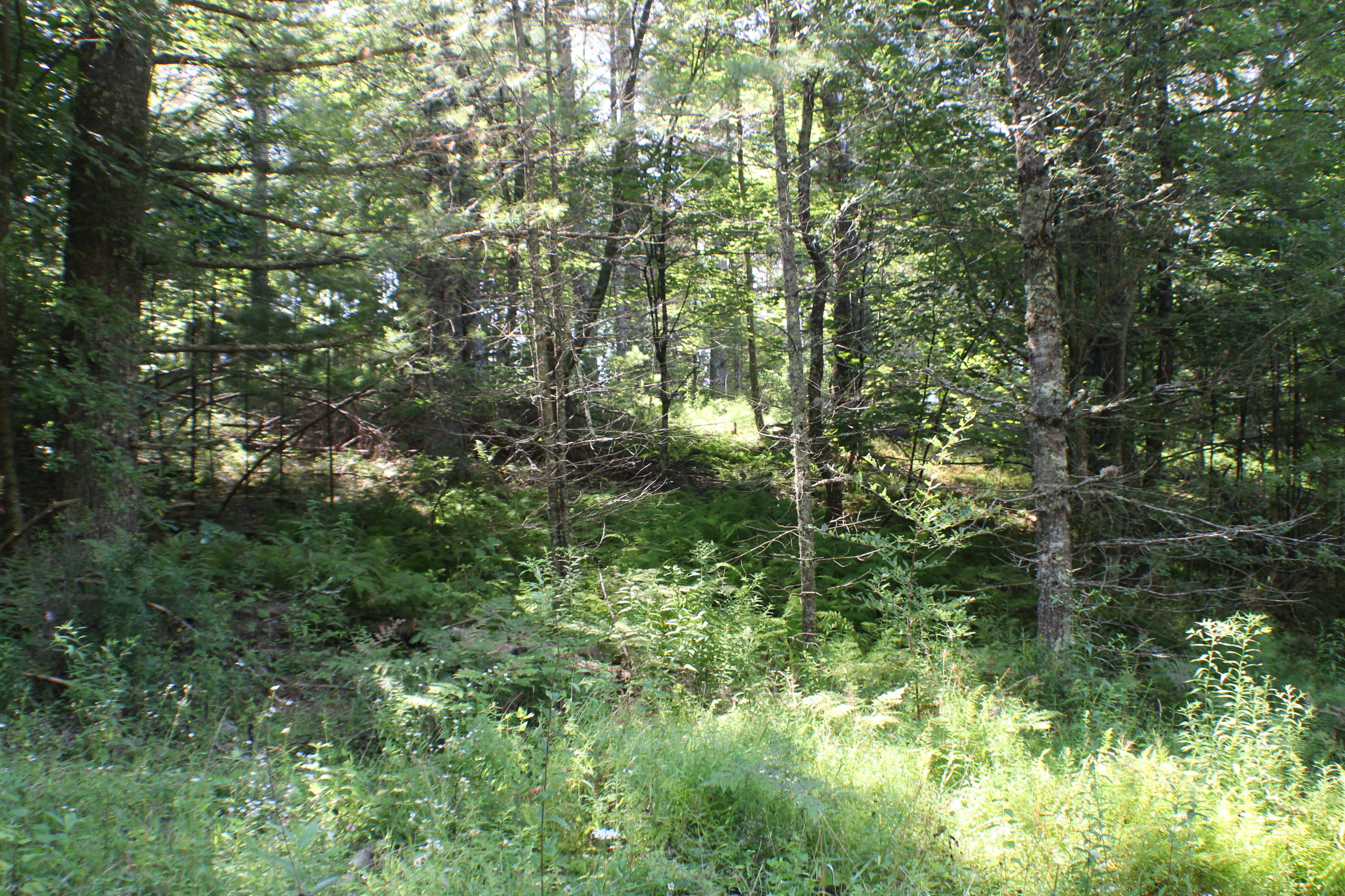 Laurel Run Road Dunmore, WV 24934 - Photo 1 of 8 Gallery Image 1