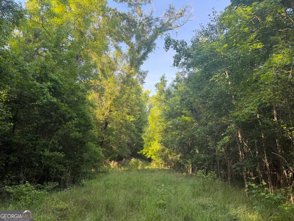 $149,000 | 0 Branan Road, Toomsboro, GA 31090