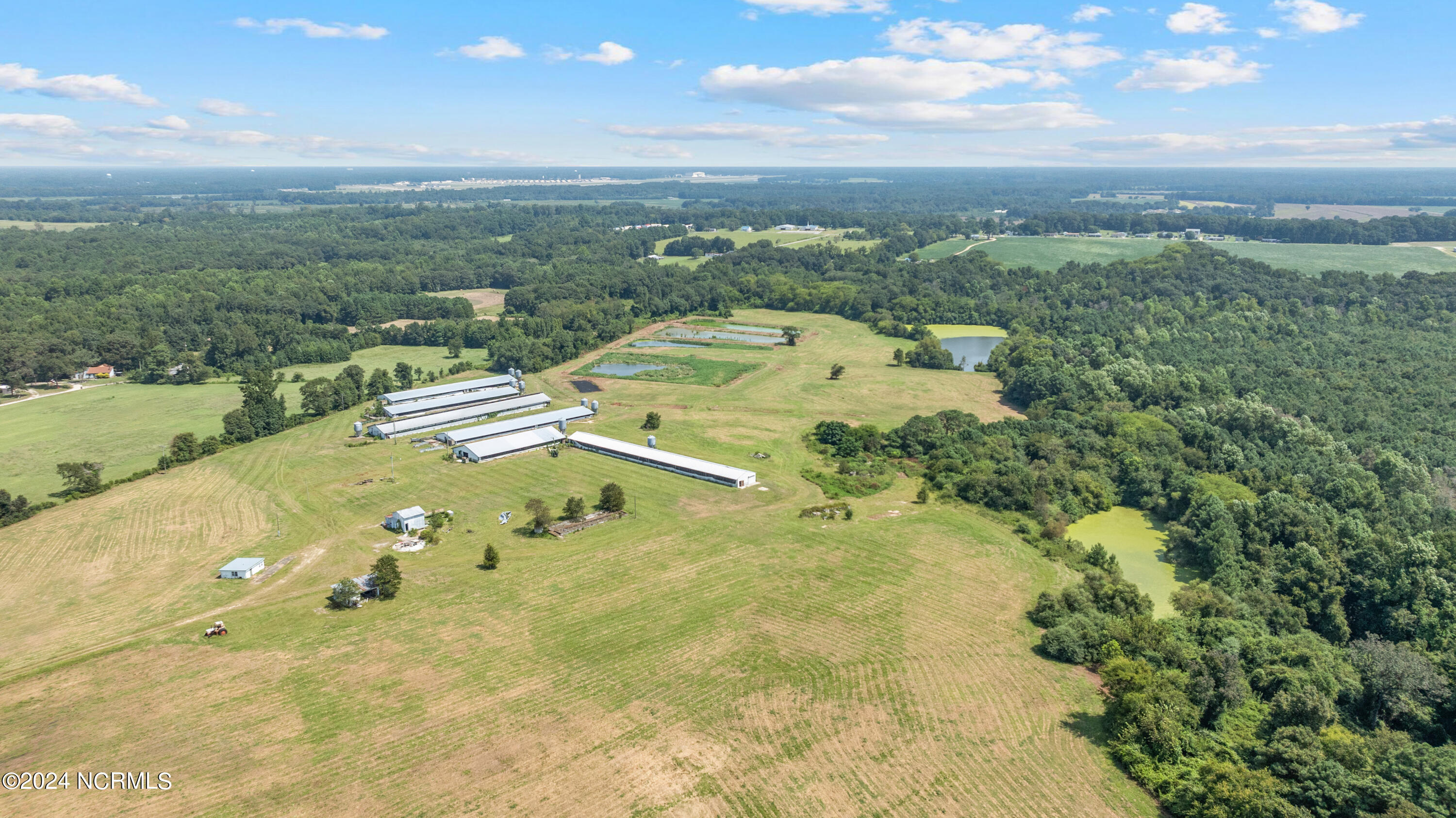 0 Camp Trailee Road Dudley, NC 28333 - Photo 9 of 21 CampTraileeRd-DudleyNC-23