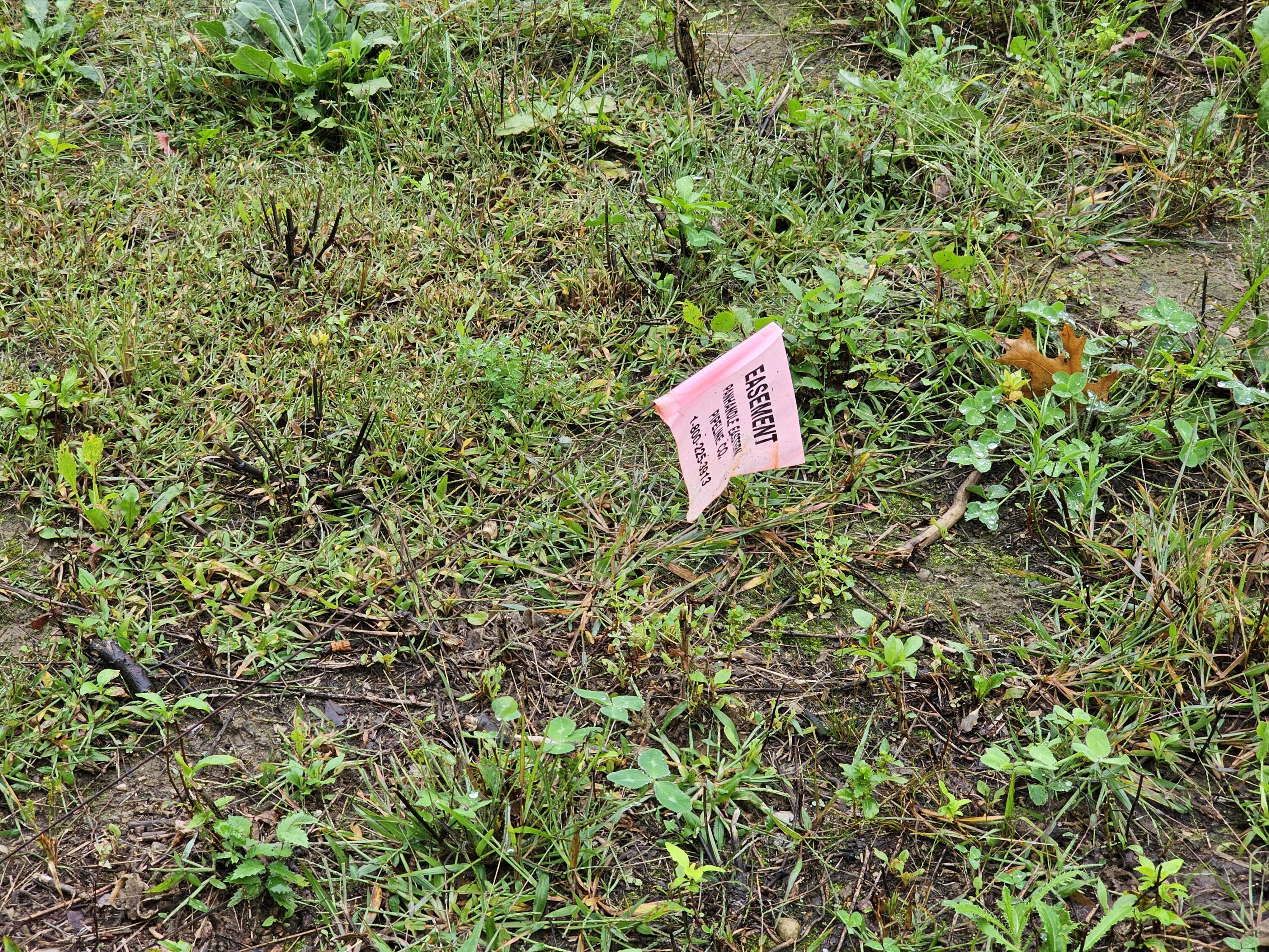 0 Vrooman Road Jackson, MI 49201 - Photo 13 of 27 Easement edge flag