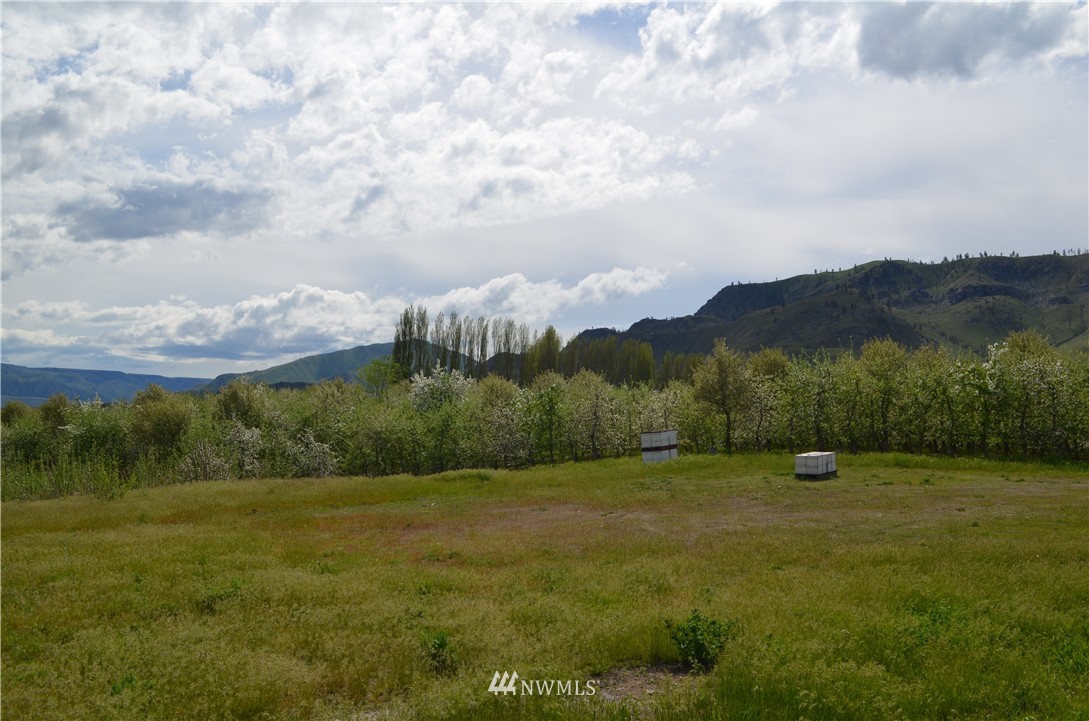 506 Howard Flat Road Chelan, WA 98816 - Photo 11 of 12 Gallery Image 11