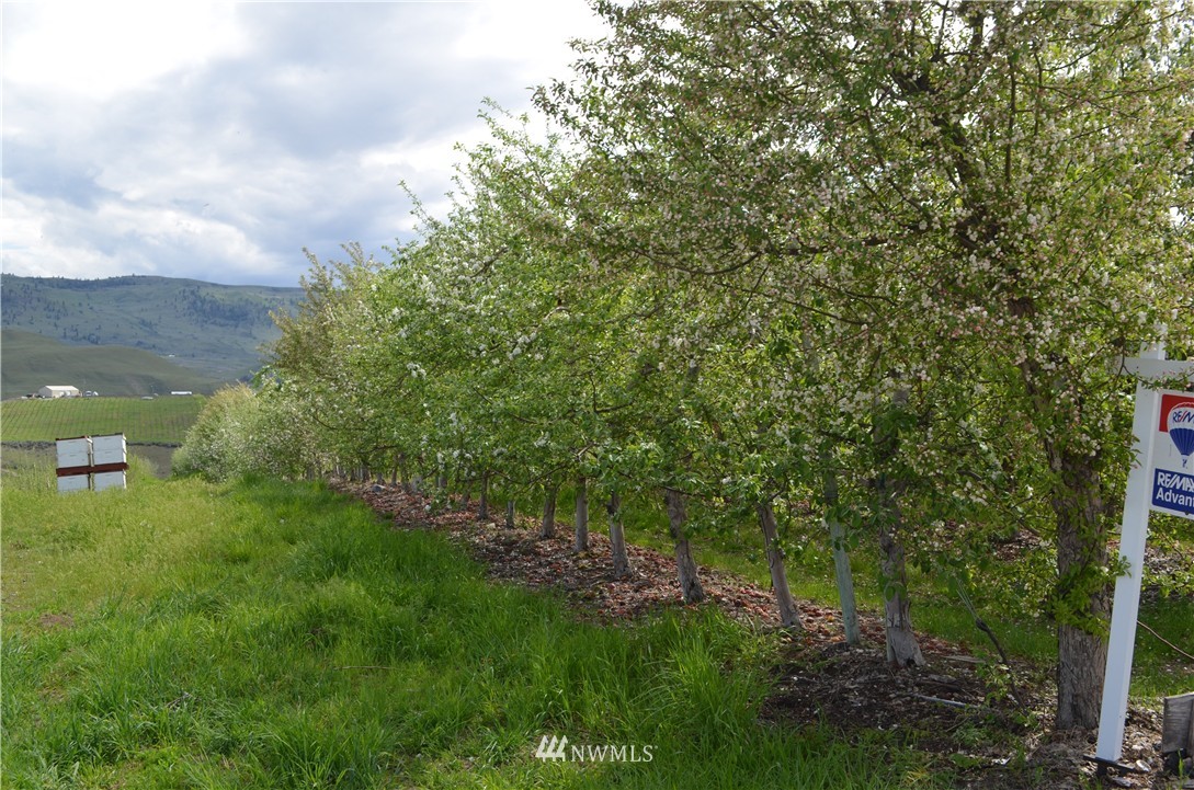 506 Howard Flat Road Chelan, WA 98816 - Photo 3 of 12 Gallery Image 3