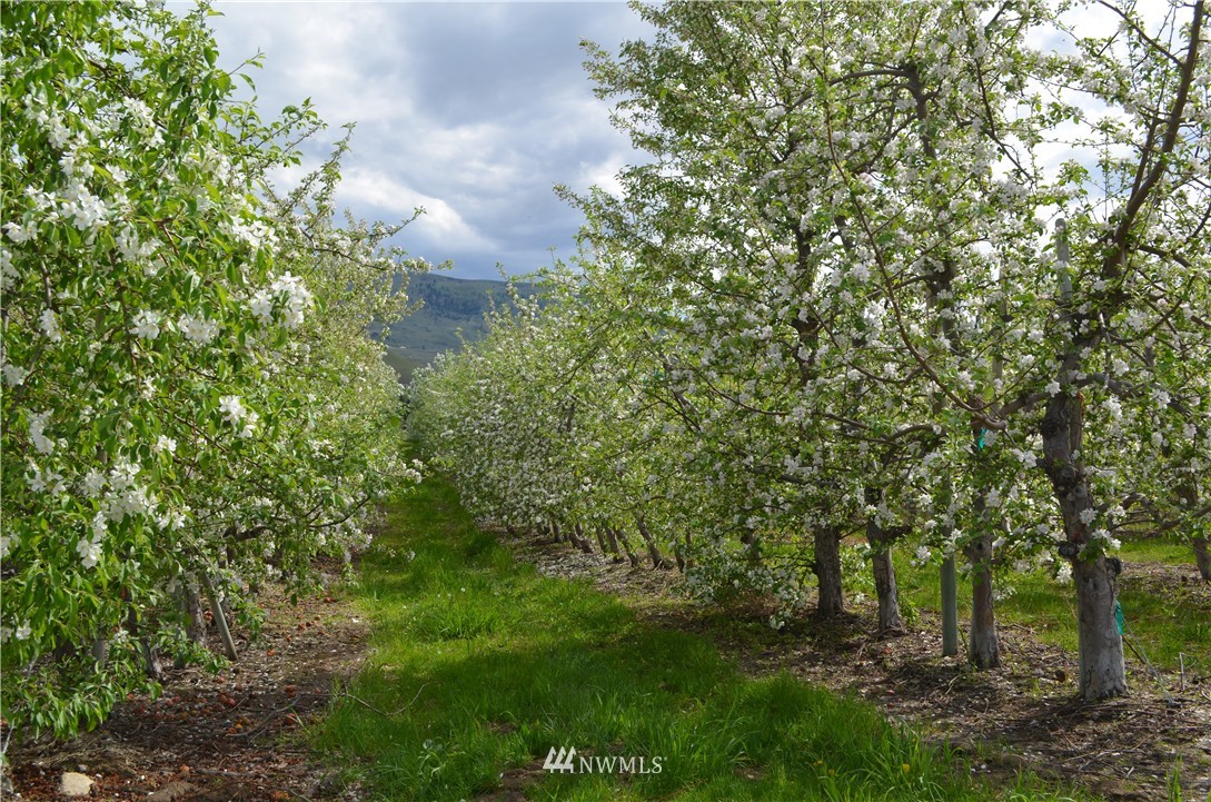506 Howard Flat Road Chelan, WA 98816 - Photo 5 of 12 Gallery Image 5