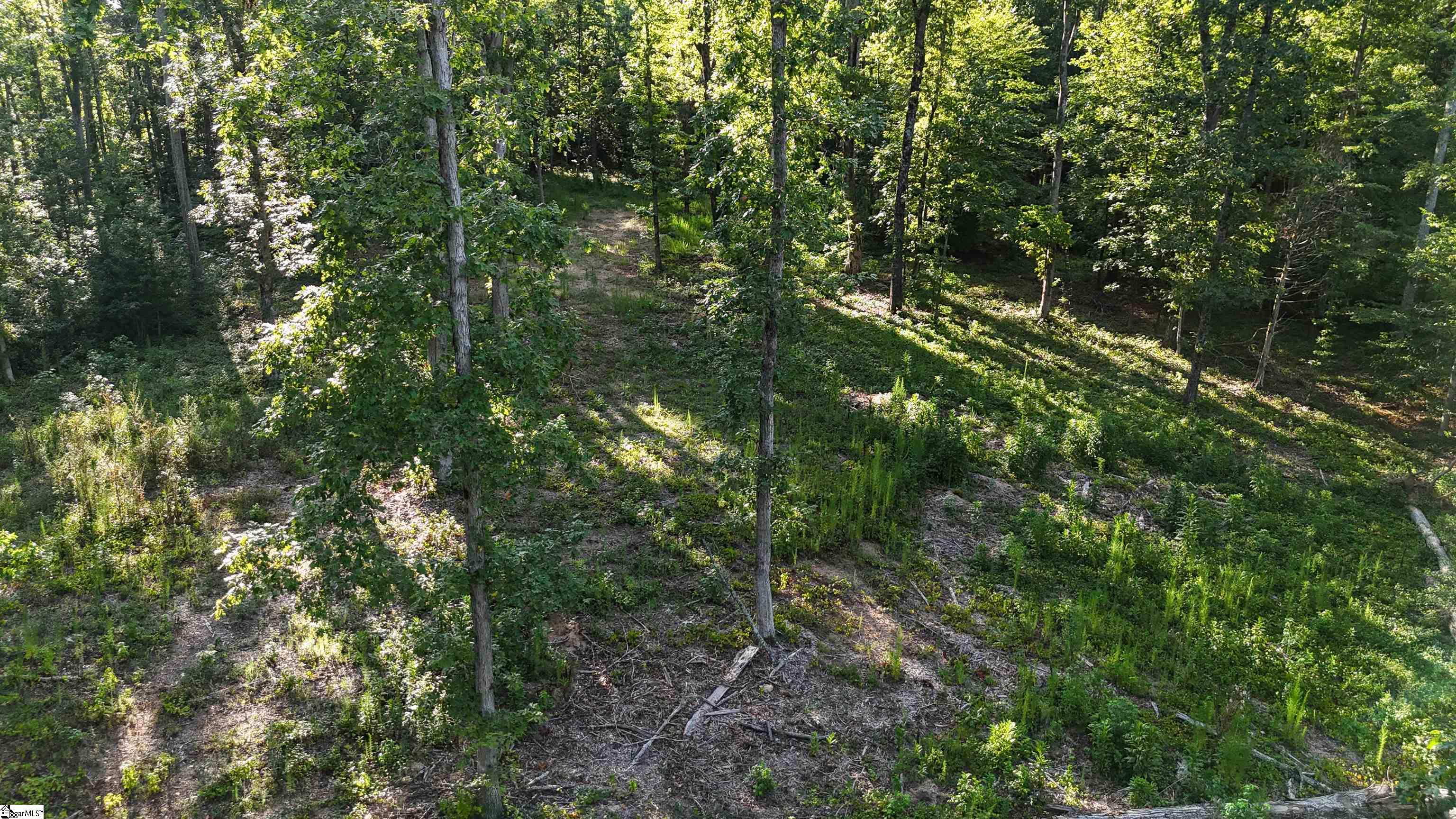 225 West Chapman Road, Unit LOT 3 Belton, SC 29627 - Photo 13 of 18