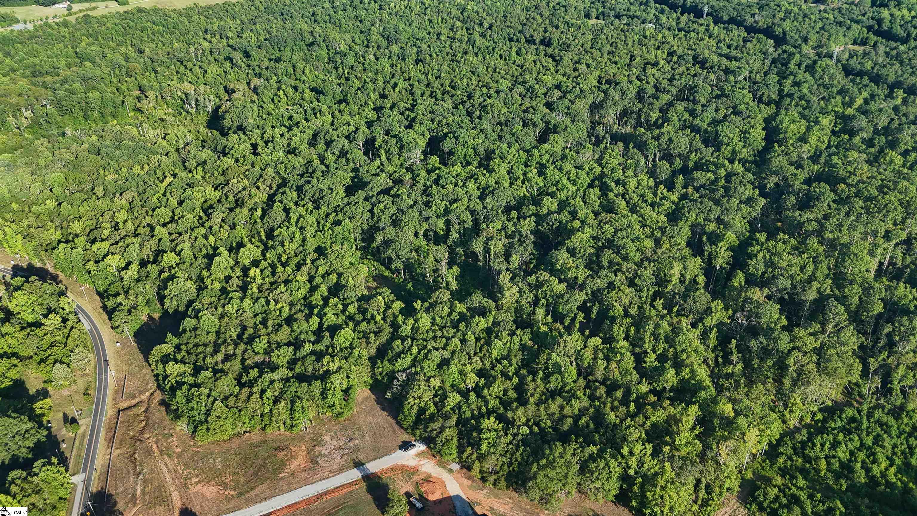 225 West Chapman Road, Unit LOT 3 Belton, SC 29627 - Photo 4 of 18