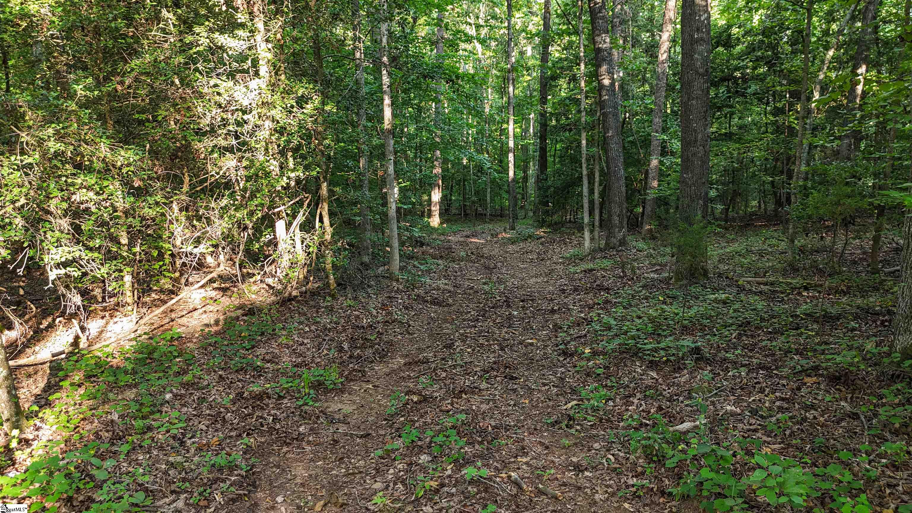 225 West Chapman Road, Unit LOT 3 Belton, SC 29627 - Photo 5 of 18